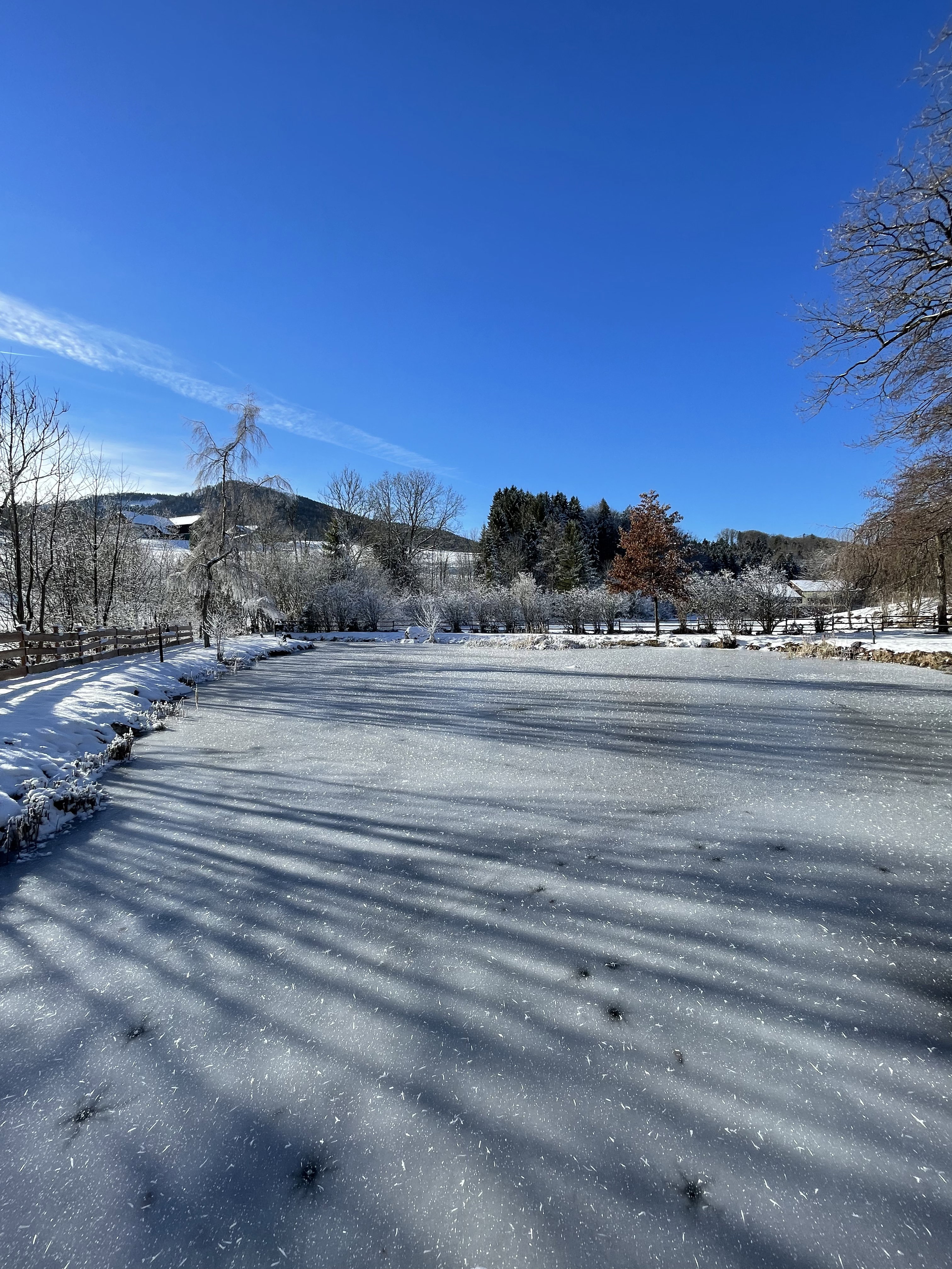 Naturhäuschen in Hof bei Salzburg