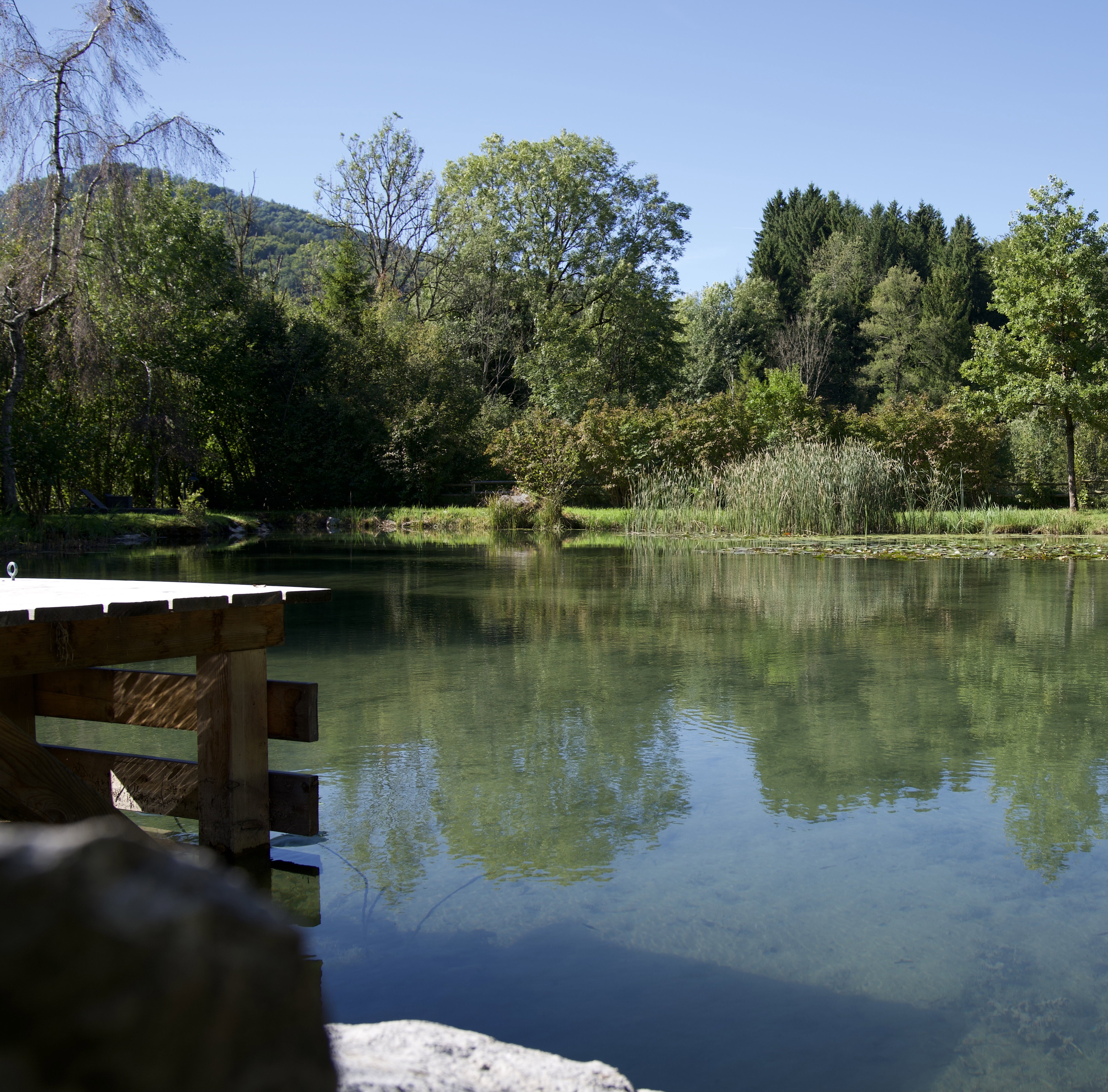 Naturhäuschen in Hof bei Salzburg