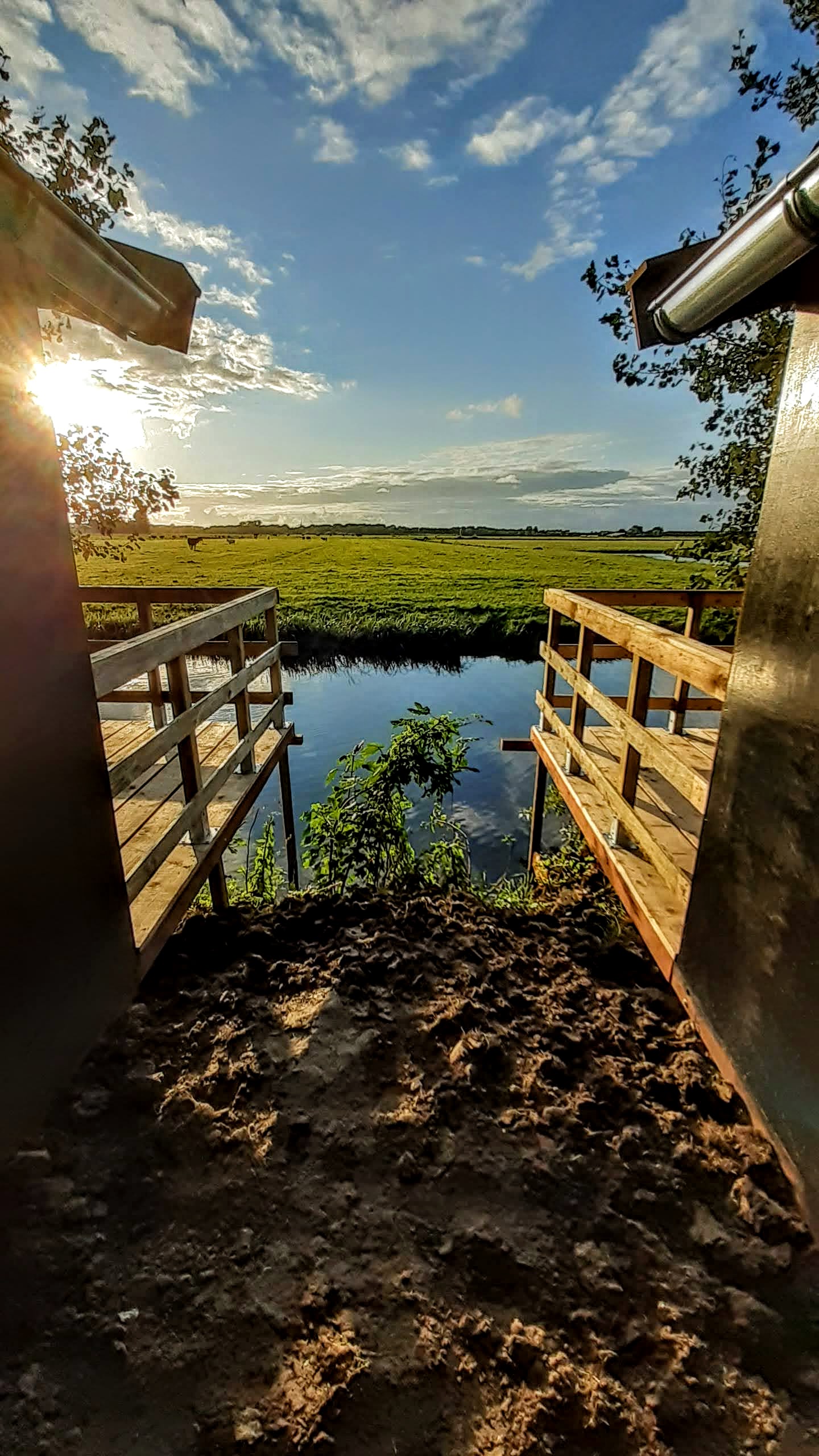 - image: 14