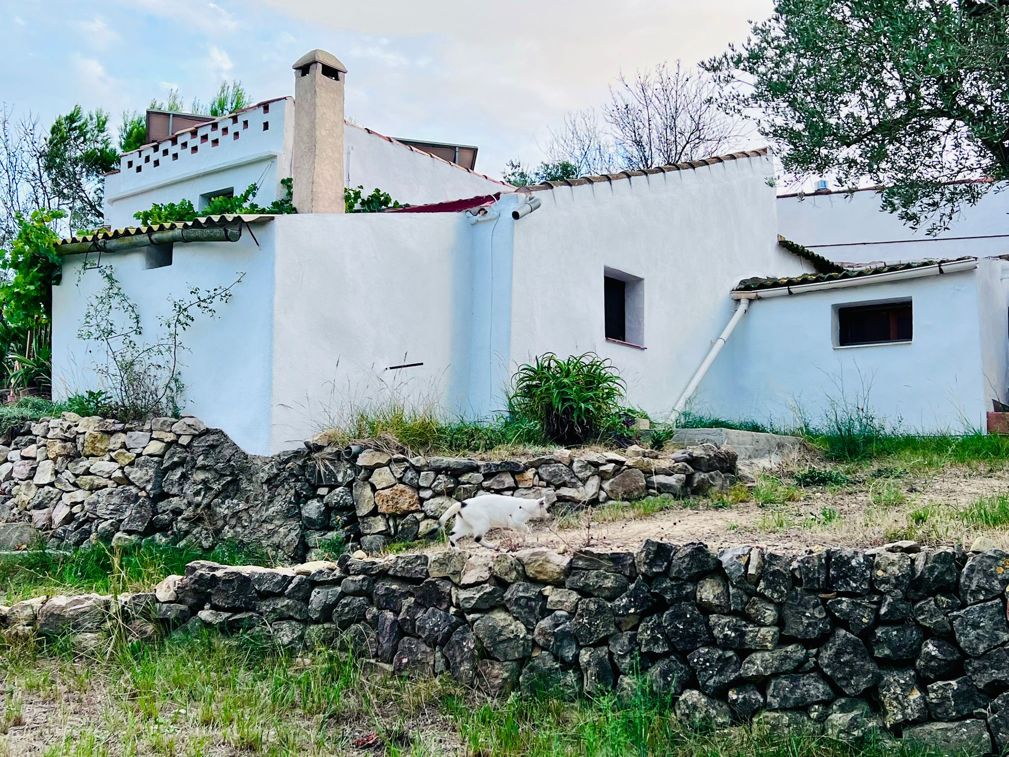 Natuurhuisje in Tortosa