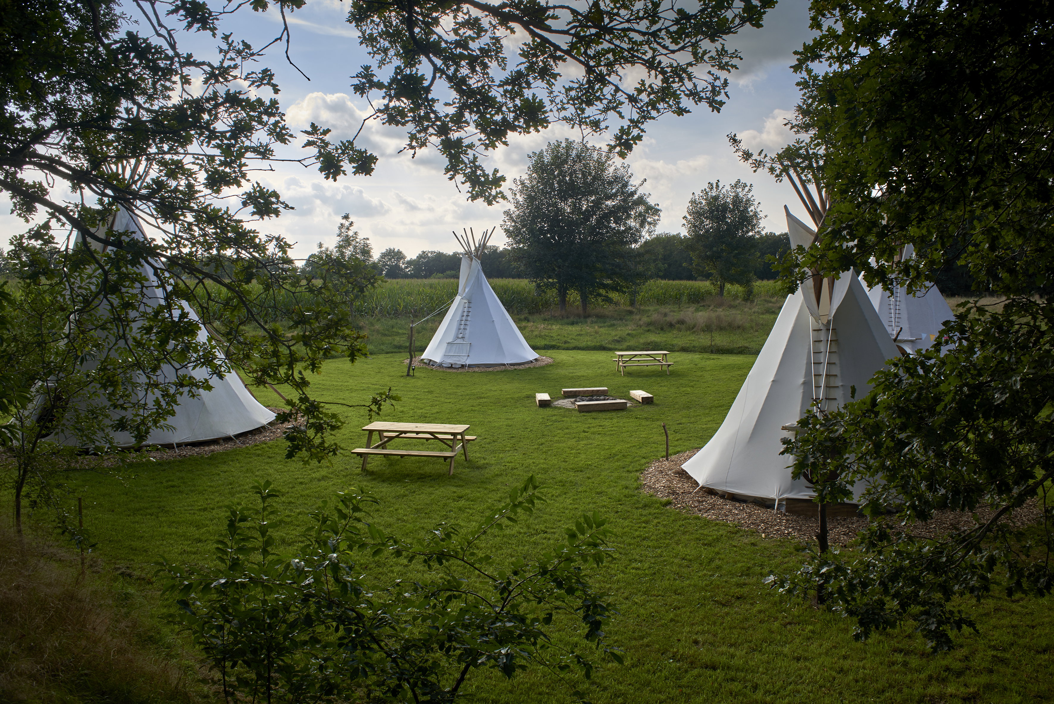 Maison nature à Siegerwoude