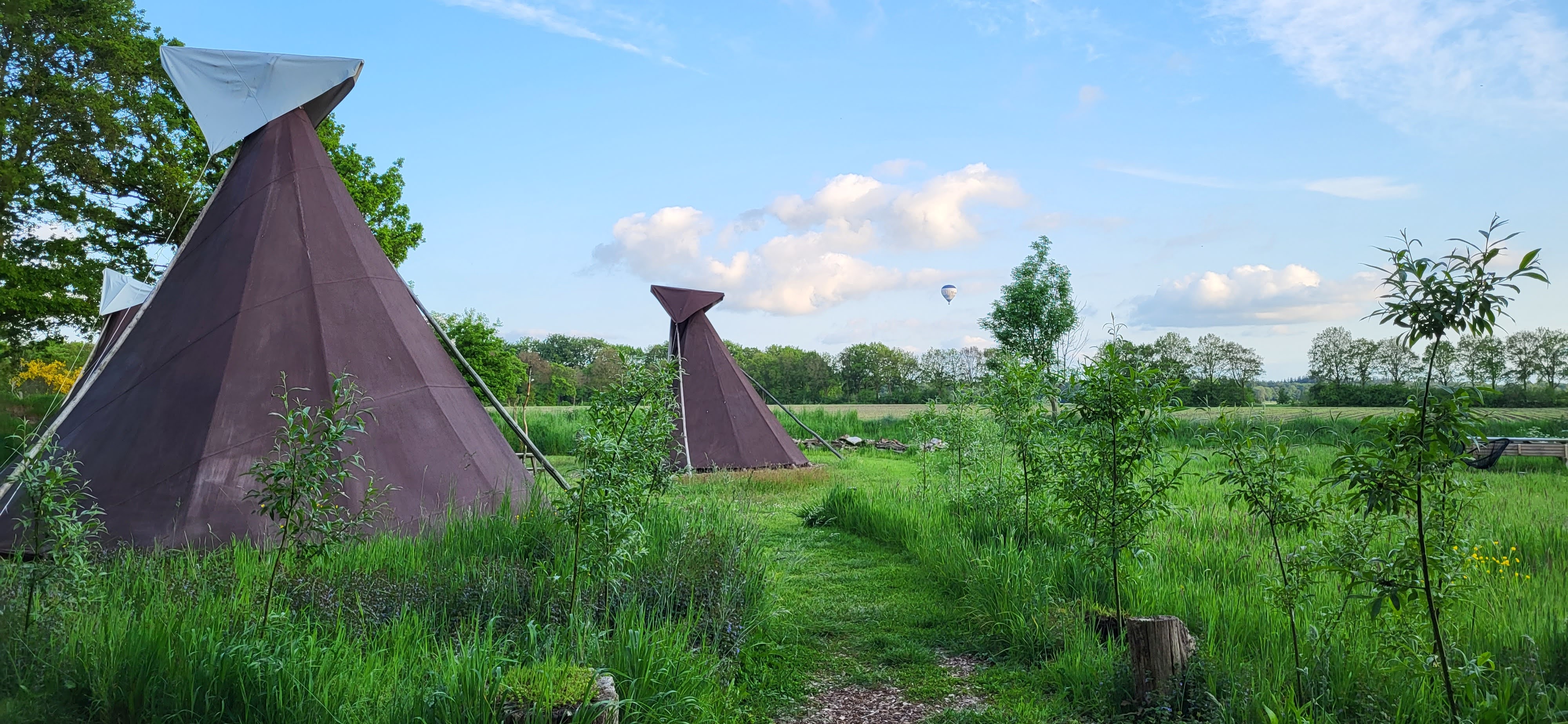 Naturhäuschen in Siegerwoude