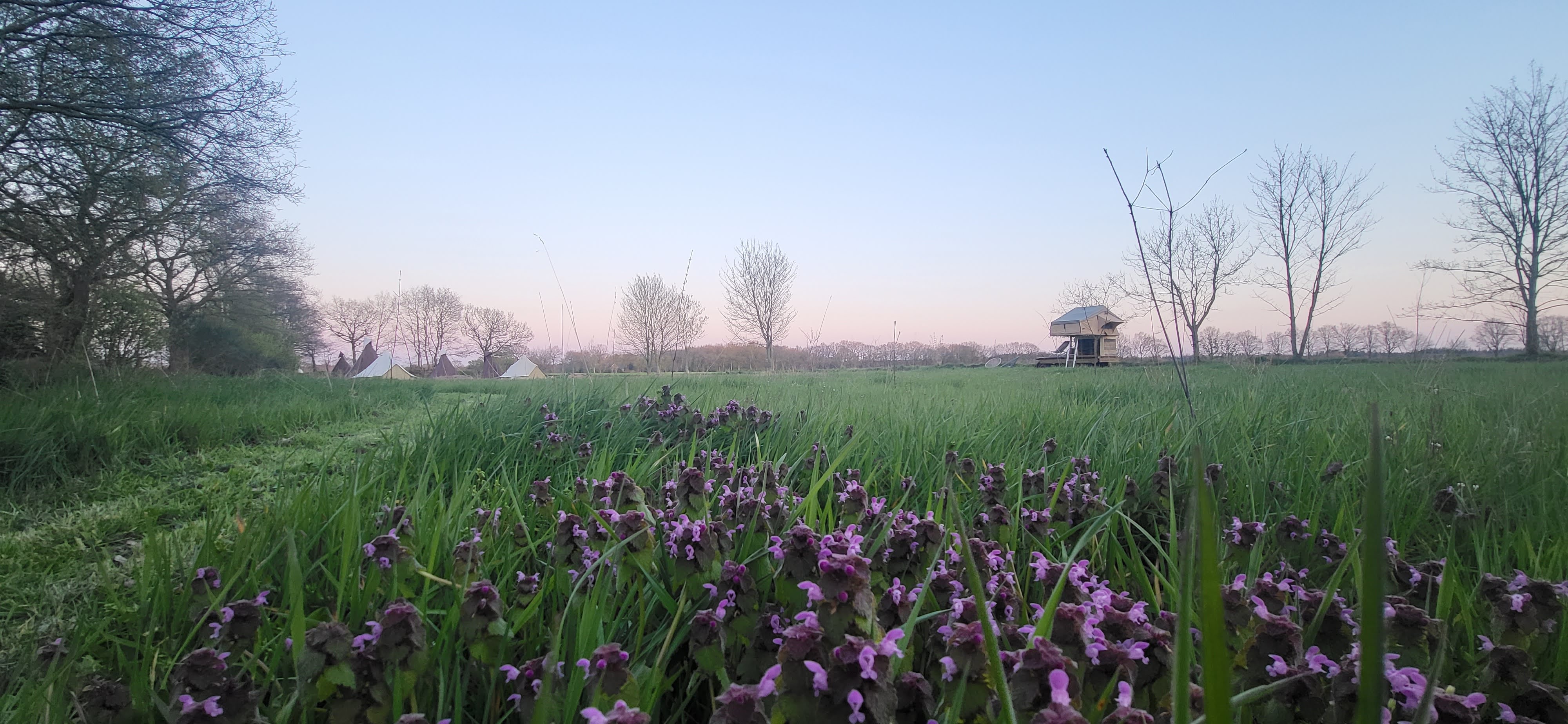 Naturhäuschen in Siegerwoude