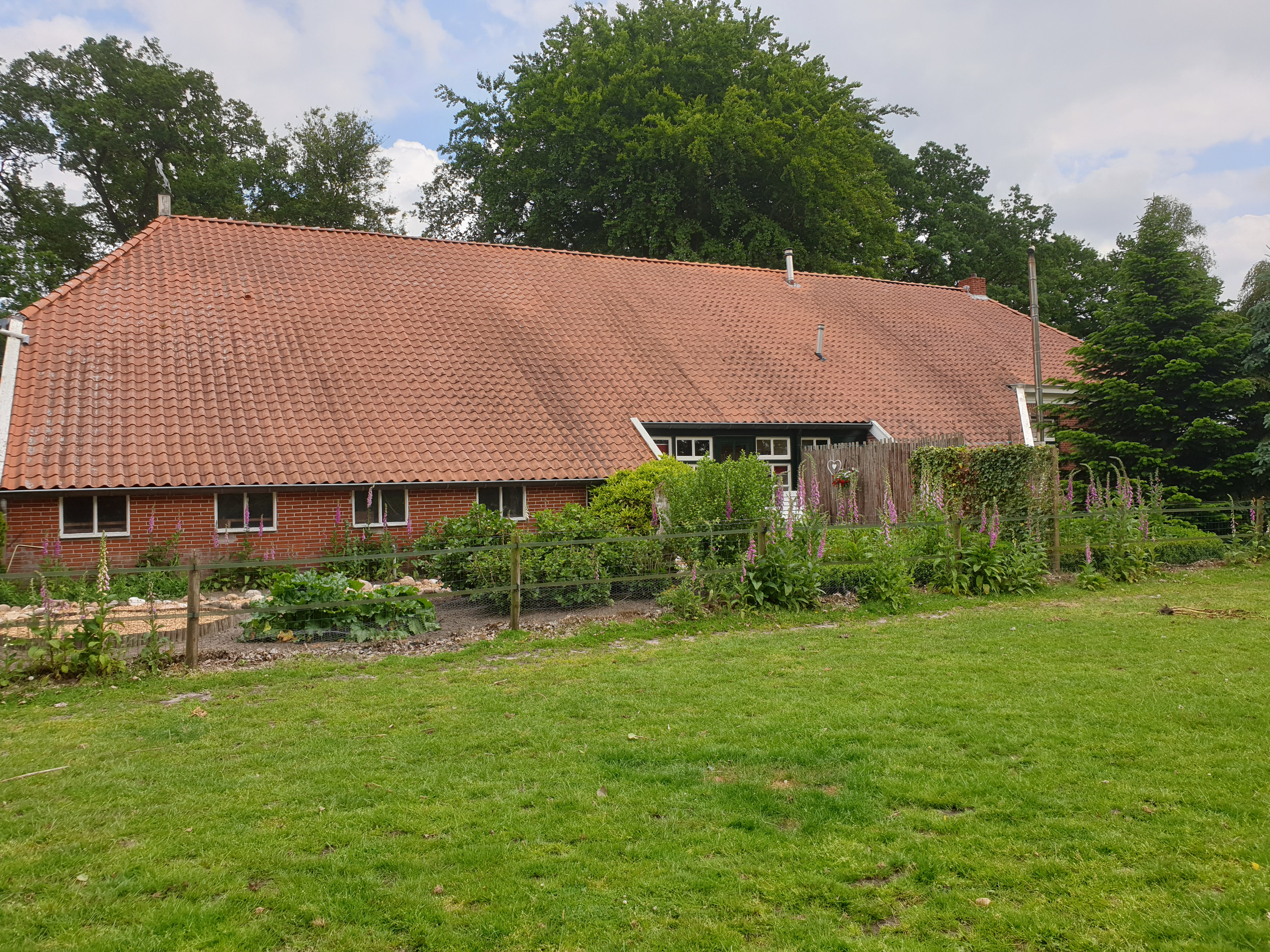 Natuurhuisje in Vriescheloo