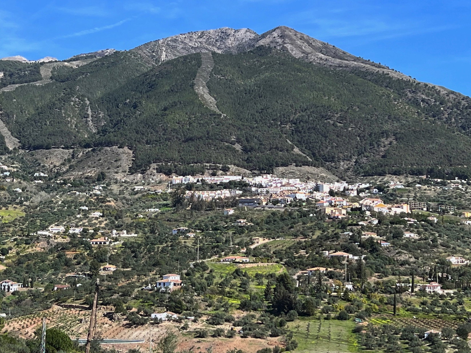 - image: 23