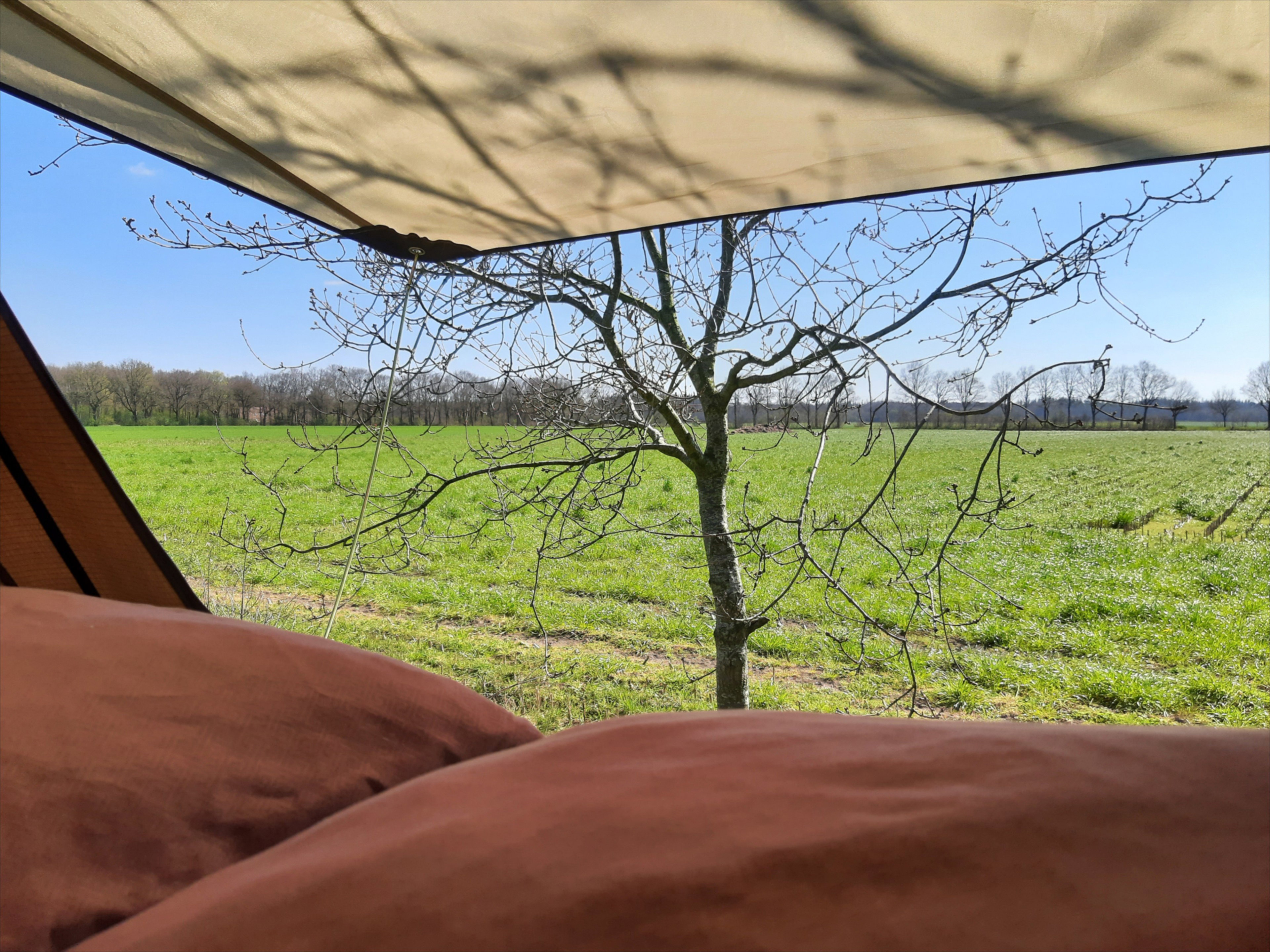 Natuurhuisje in Siegerswoude
