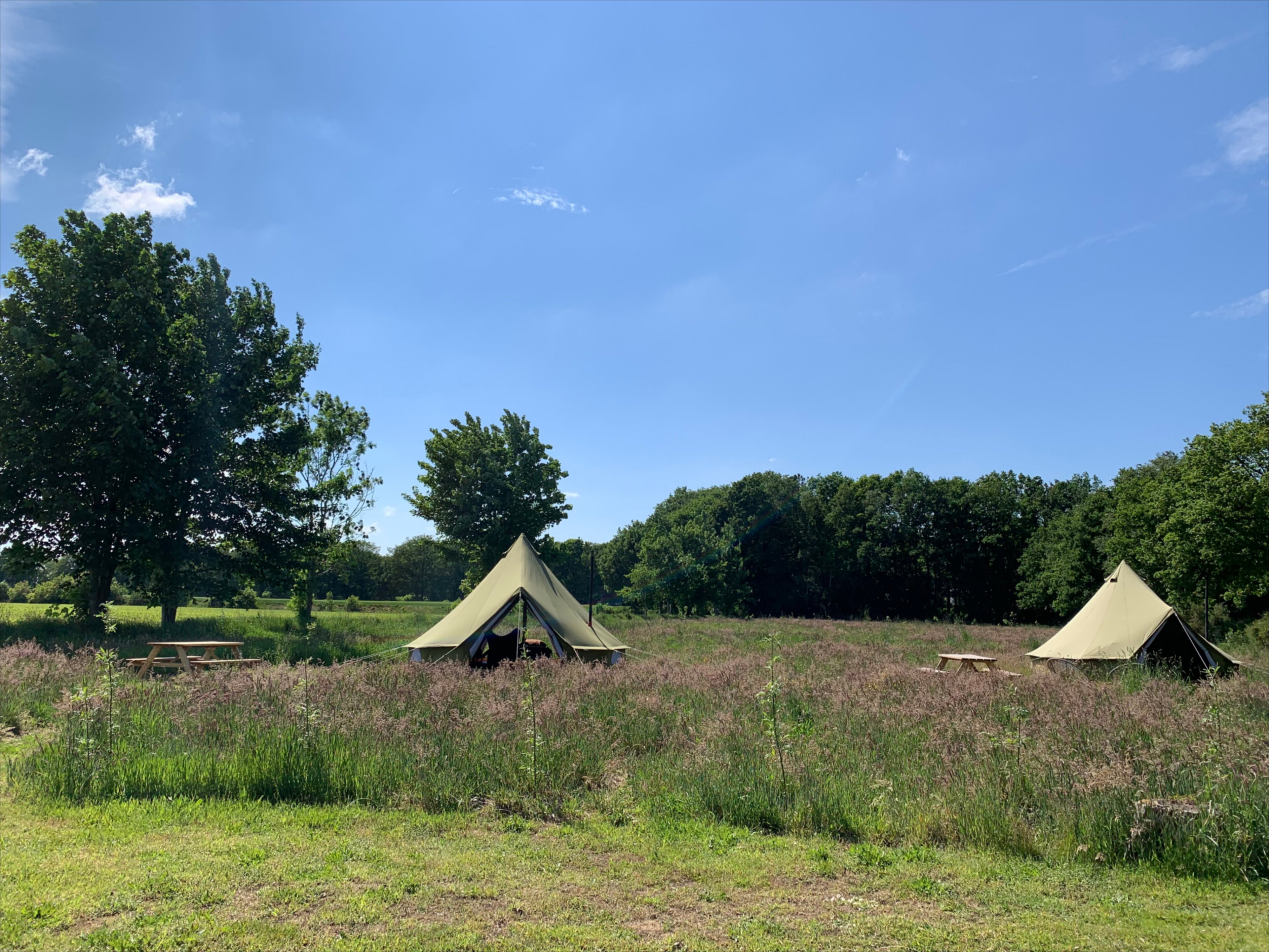 Natuurhuisje in Siegerswoude