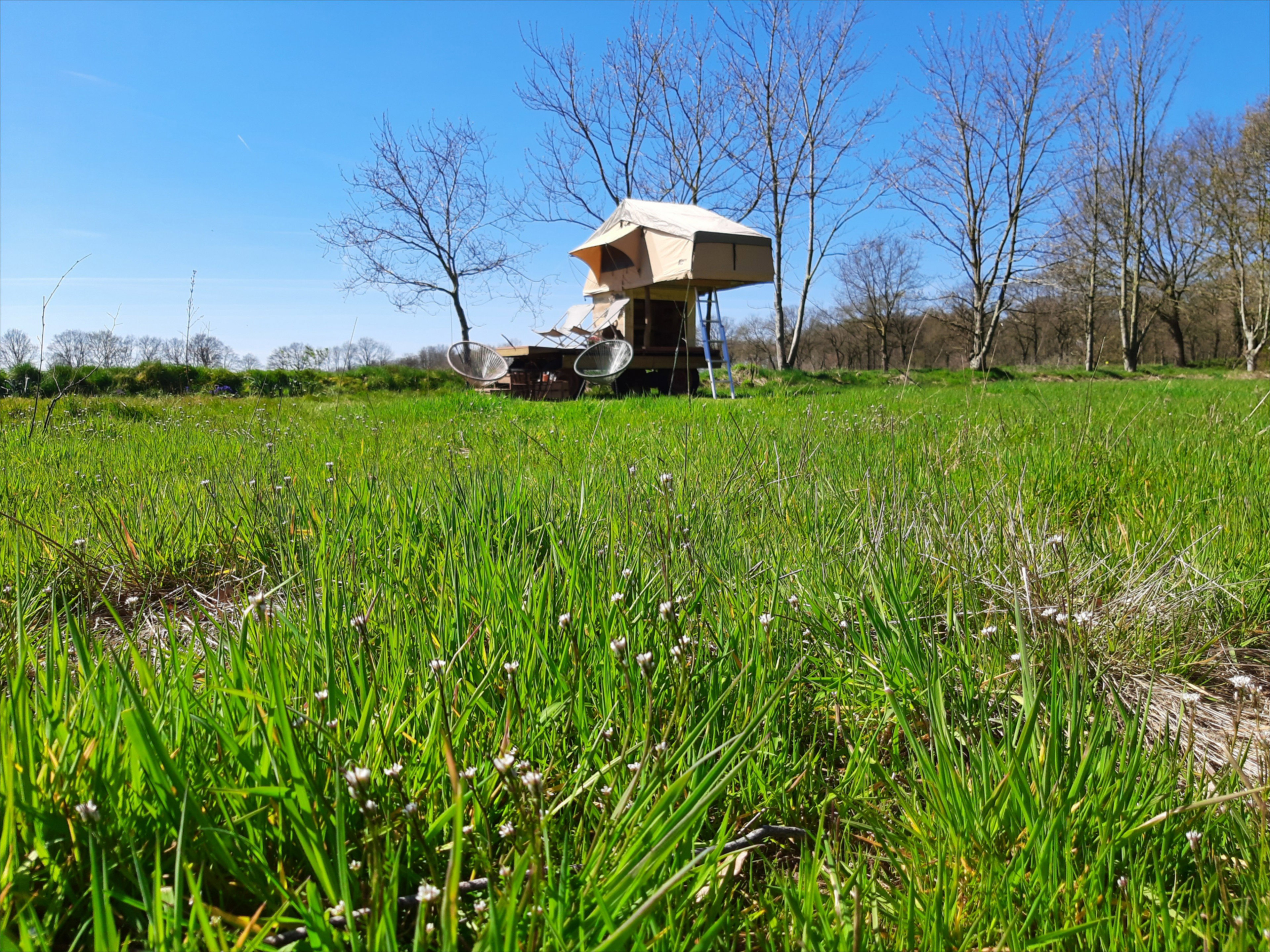 Natuurhuisje in Siegerswoude