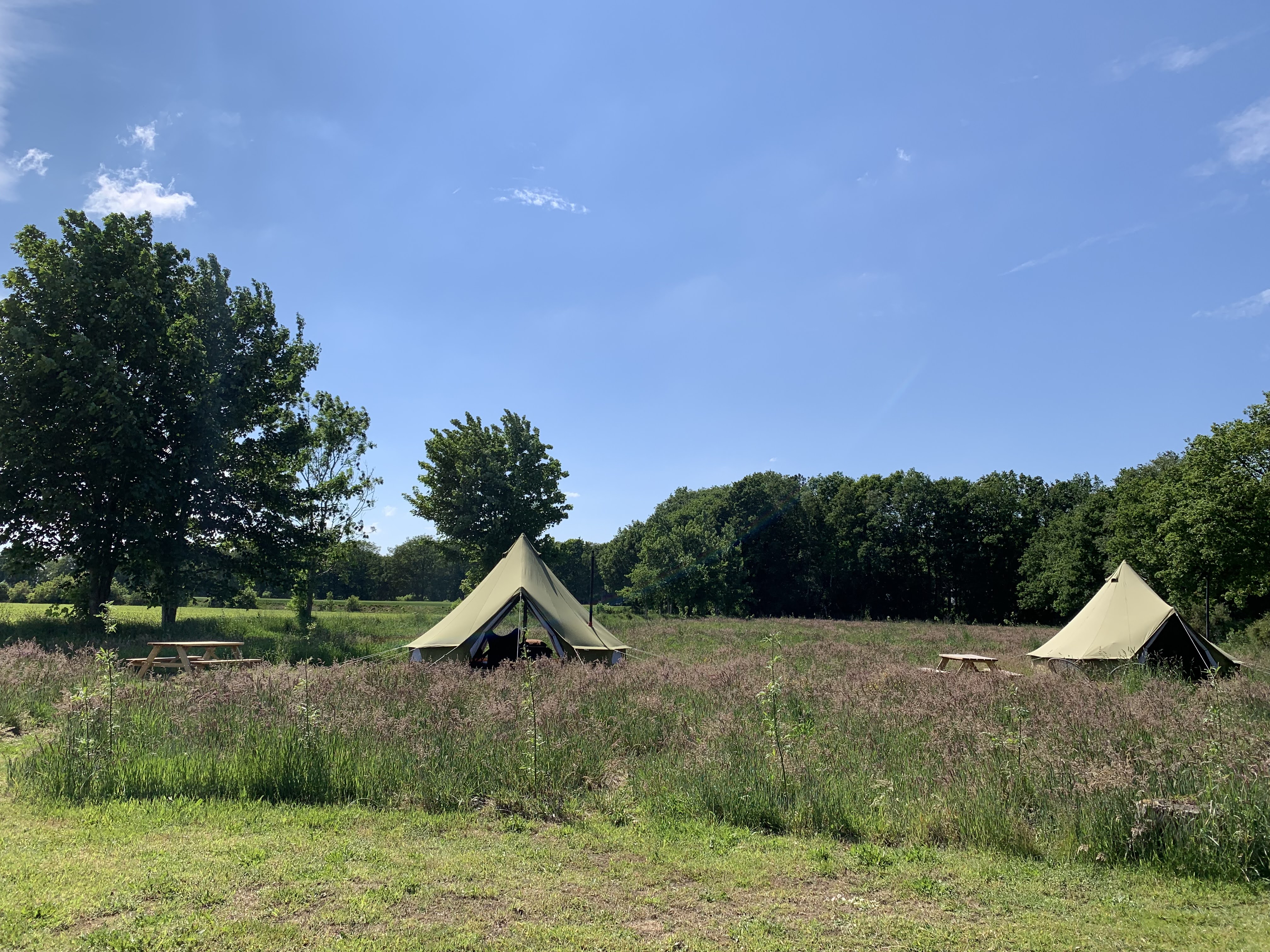 Natuurhuisje in Siegerswoude