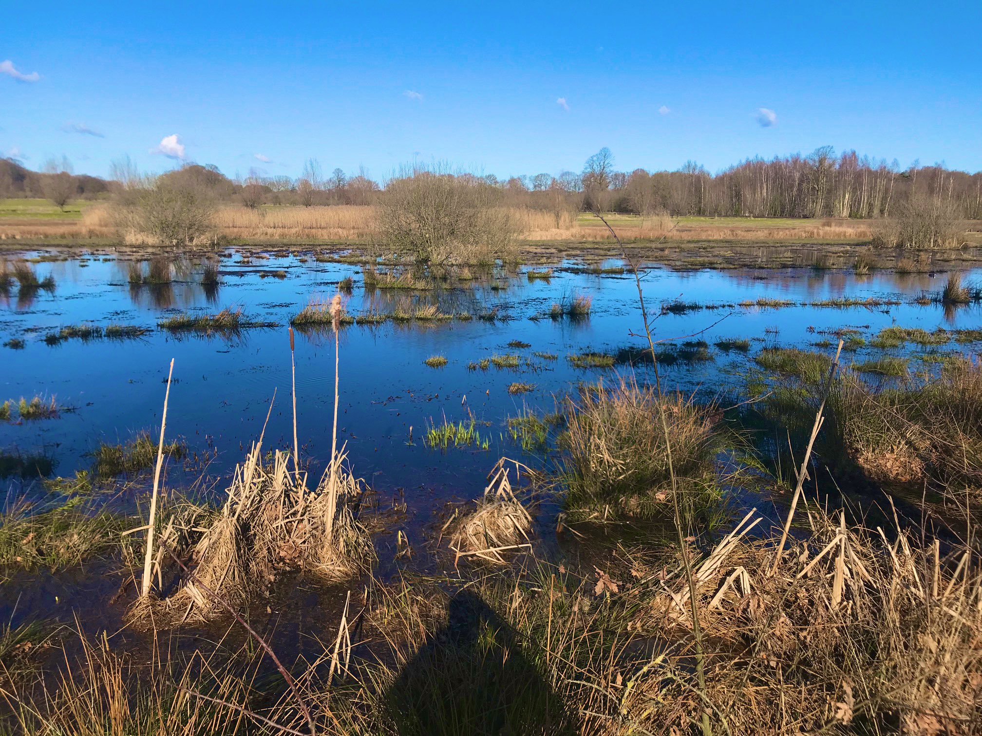 Natuurhuisje in Zuna