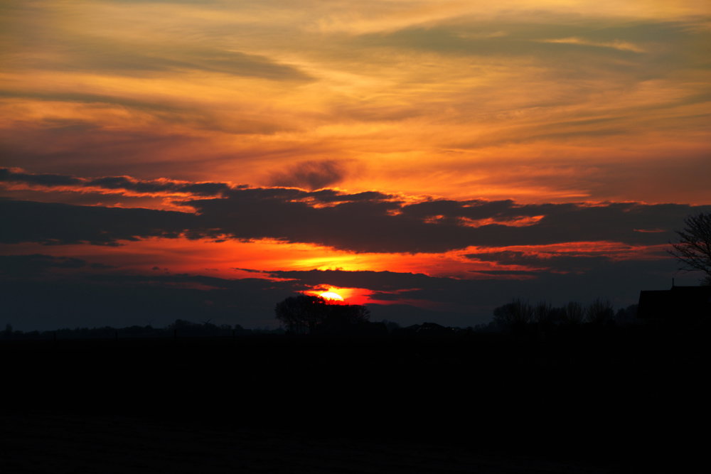 - image: 25