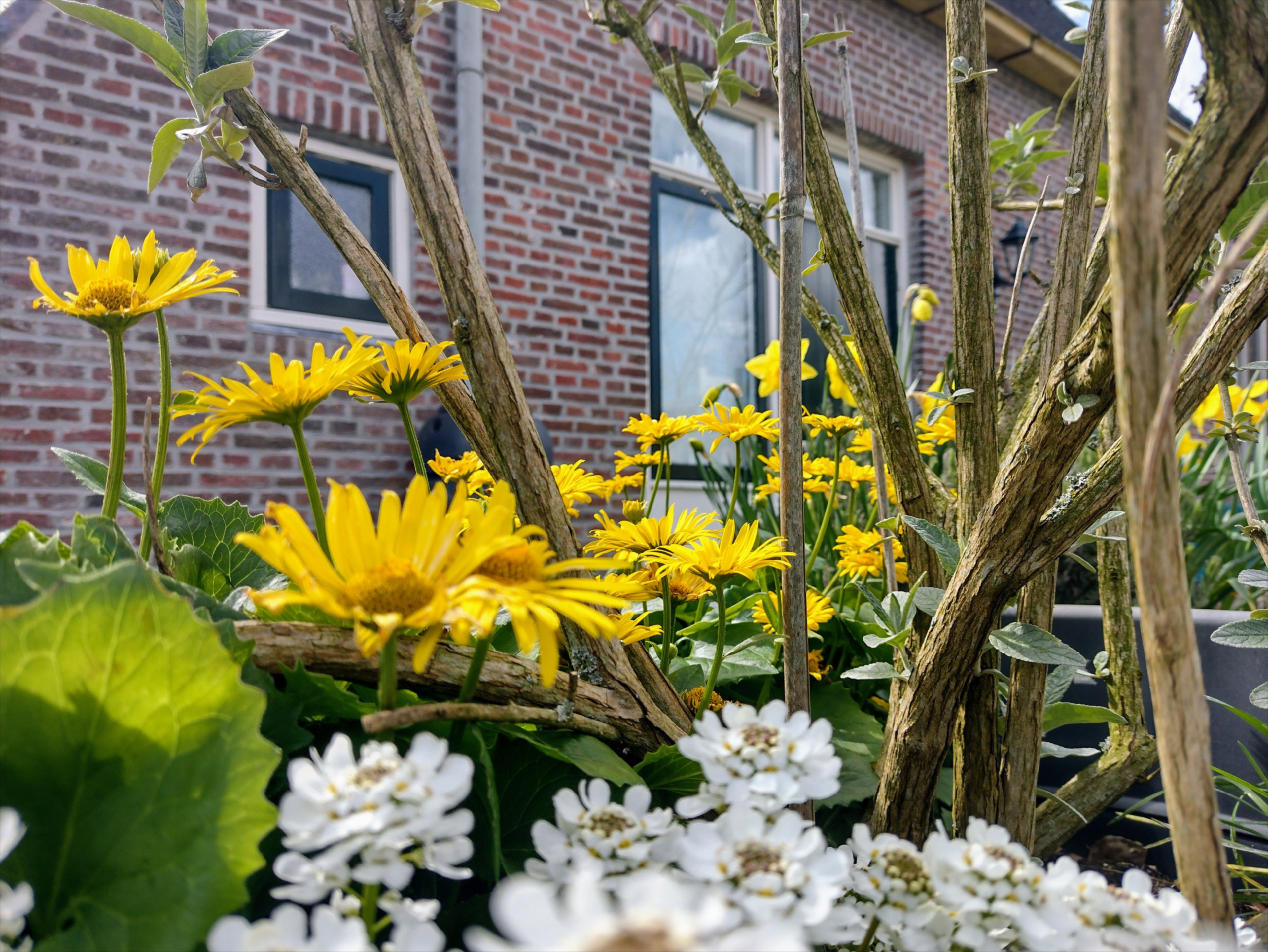 Natuurhuisje in Nijewier