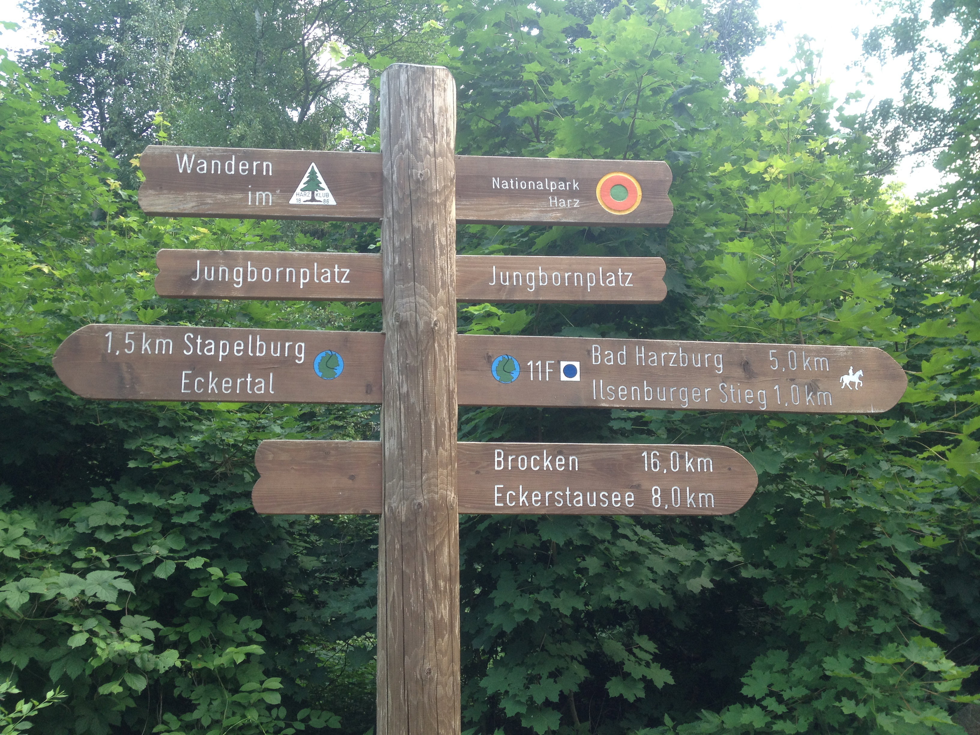 - image: 28