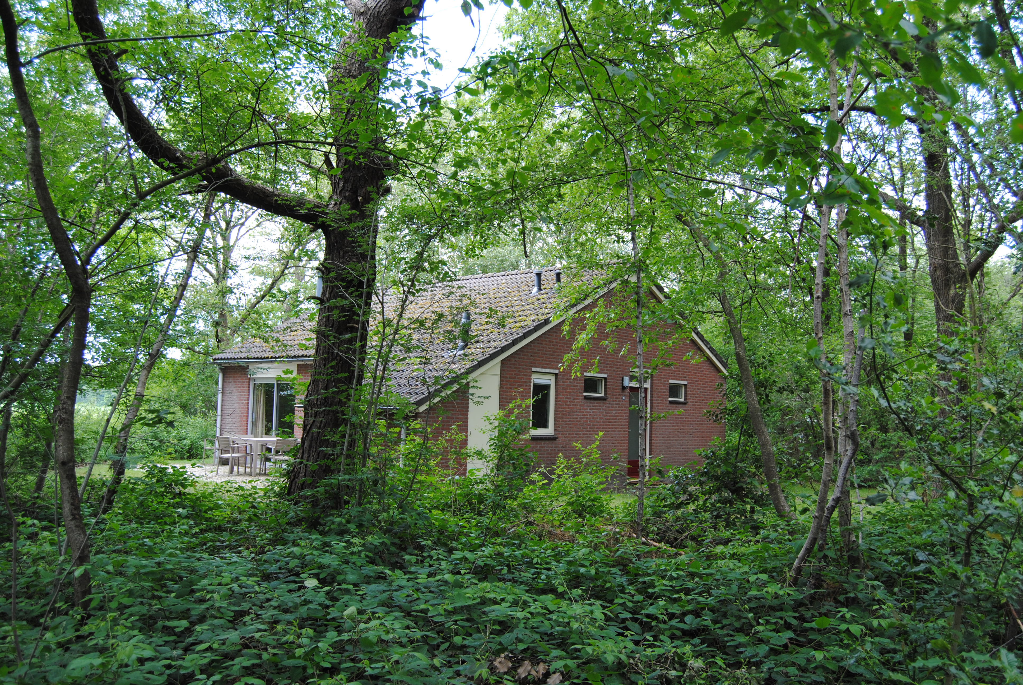 Naturhäuschen in Ruinen