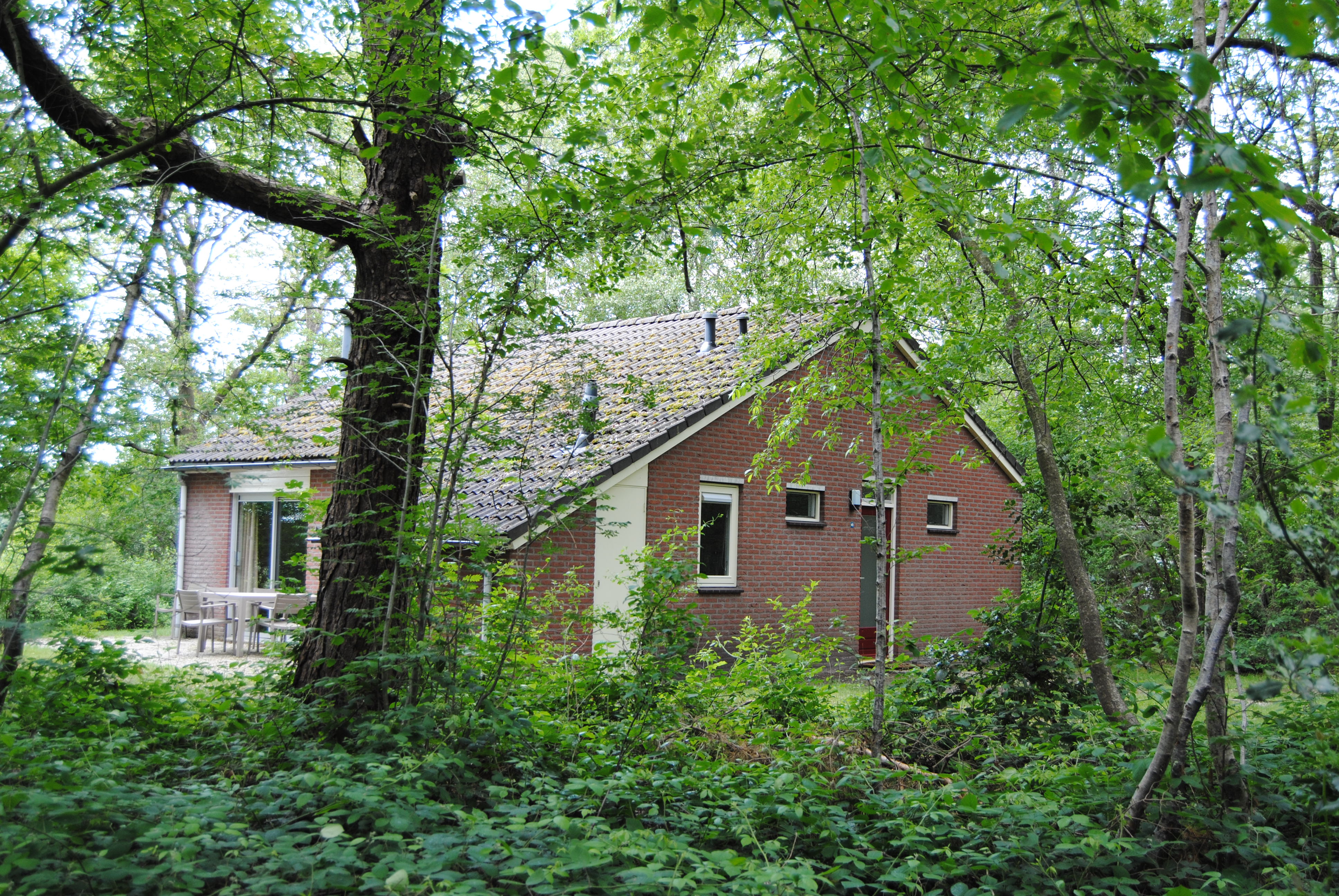 Naturhäuschen in Ruinen