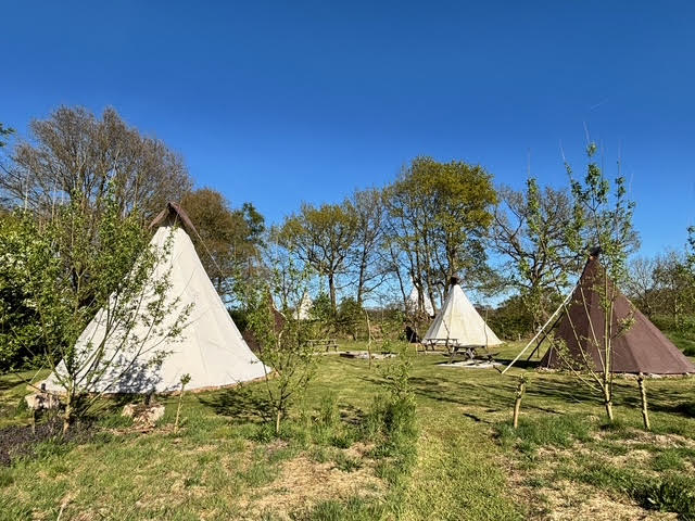 Casa nella natura a Siegerswoude
