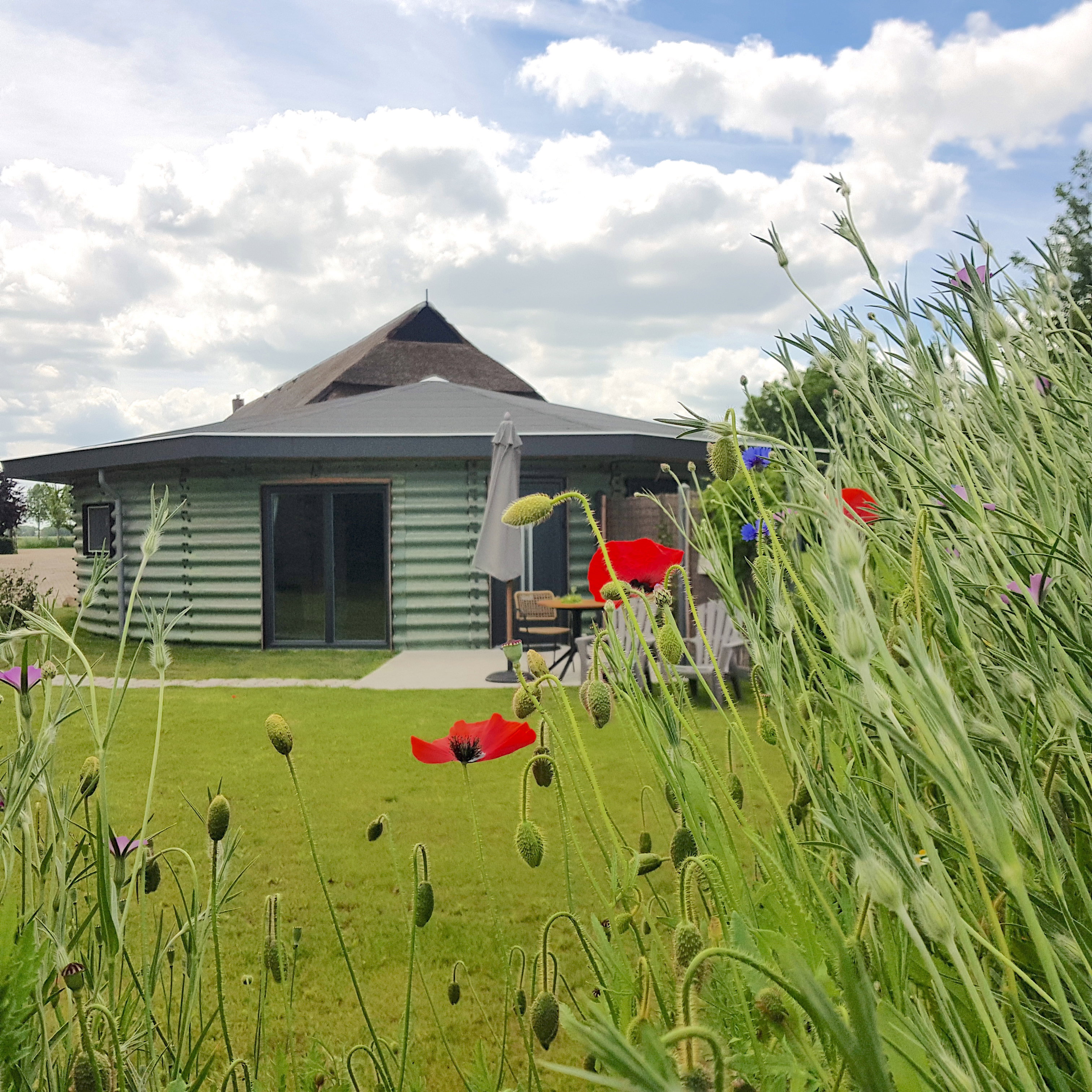 Natuurhuisje in Ruinerwold