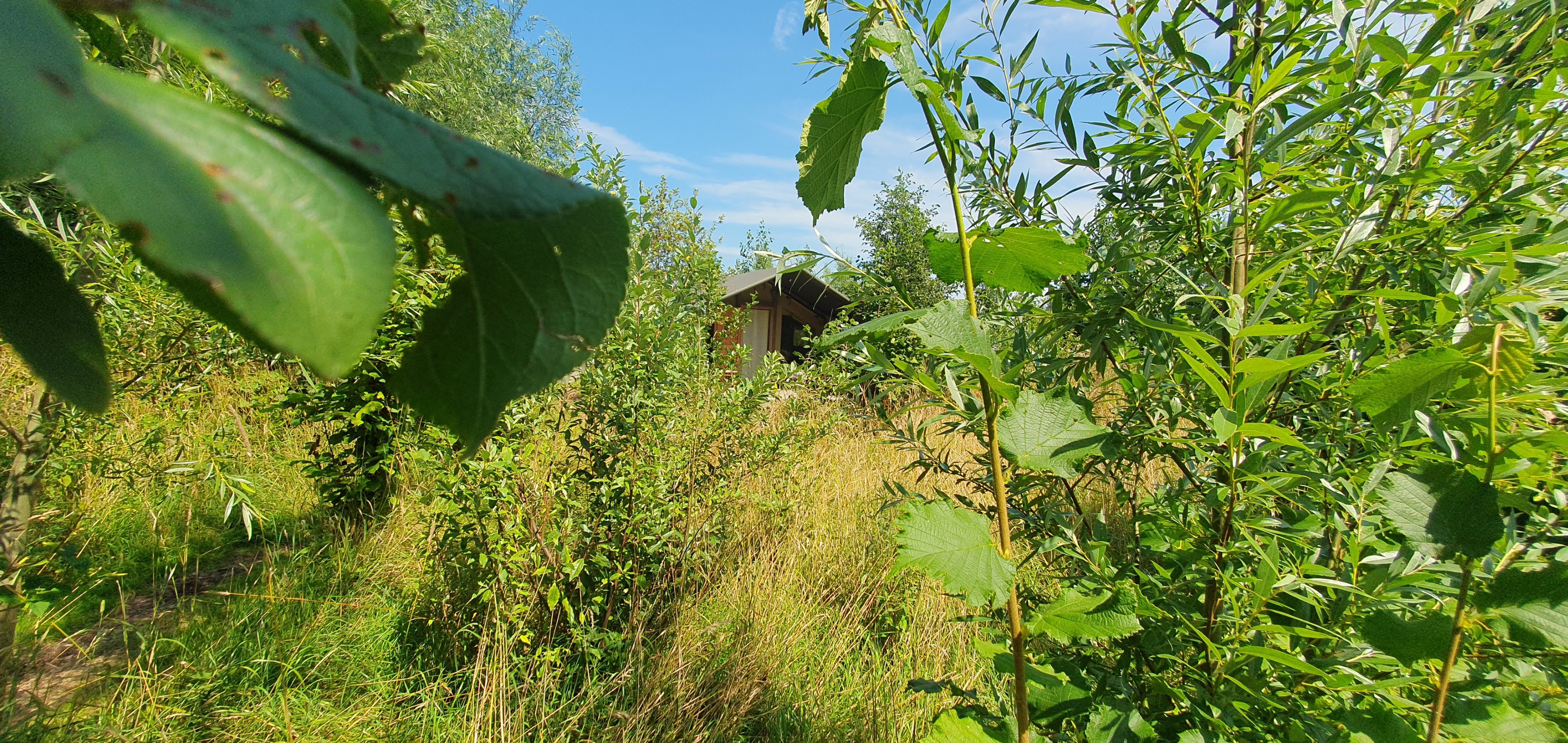 Natuurhuisje in Bedum