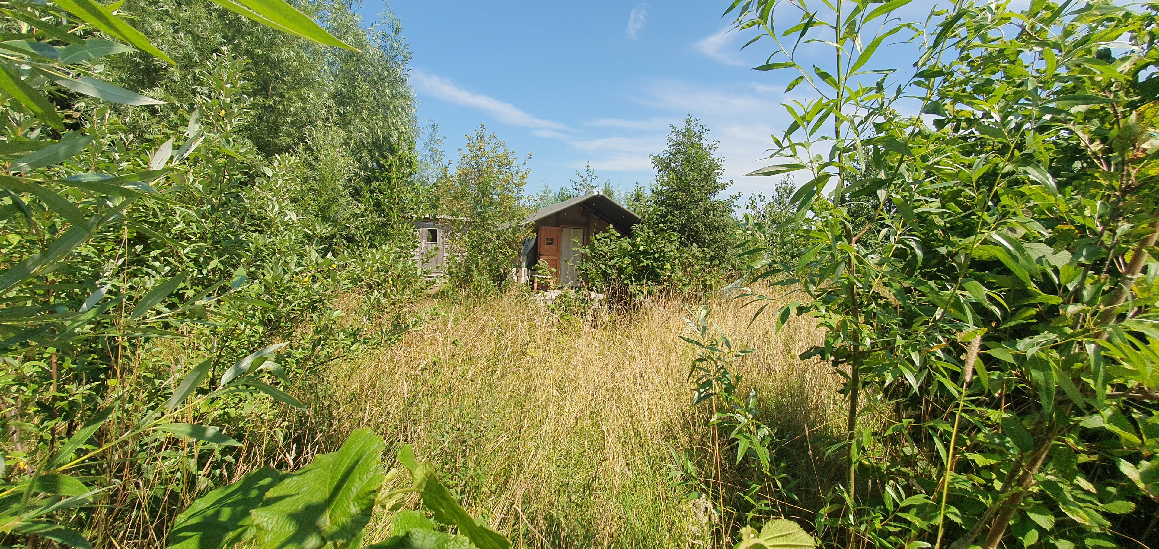 Natuurhuisje in Bedum