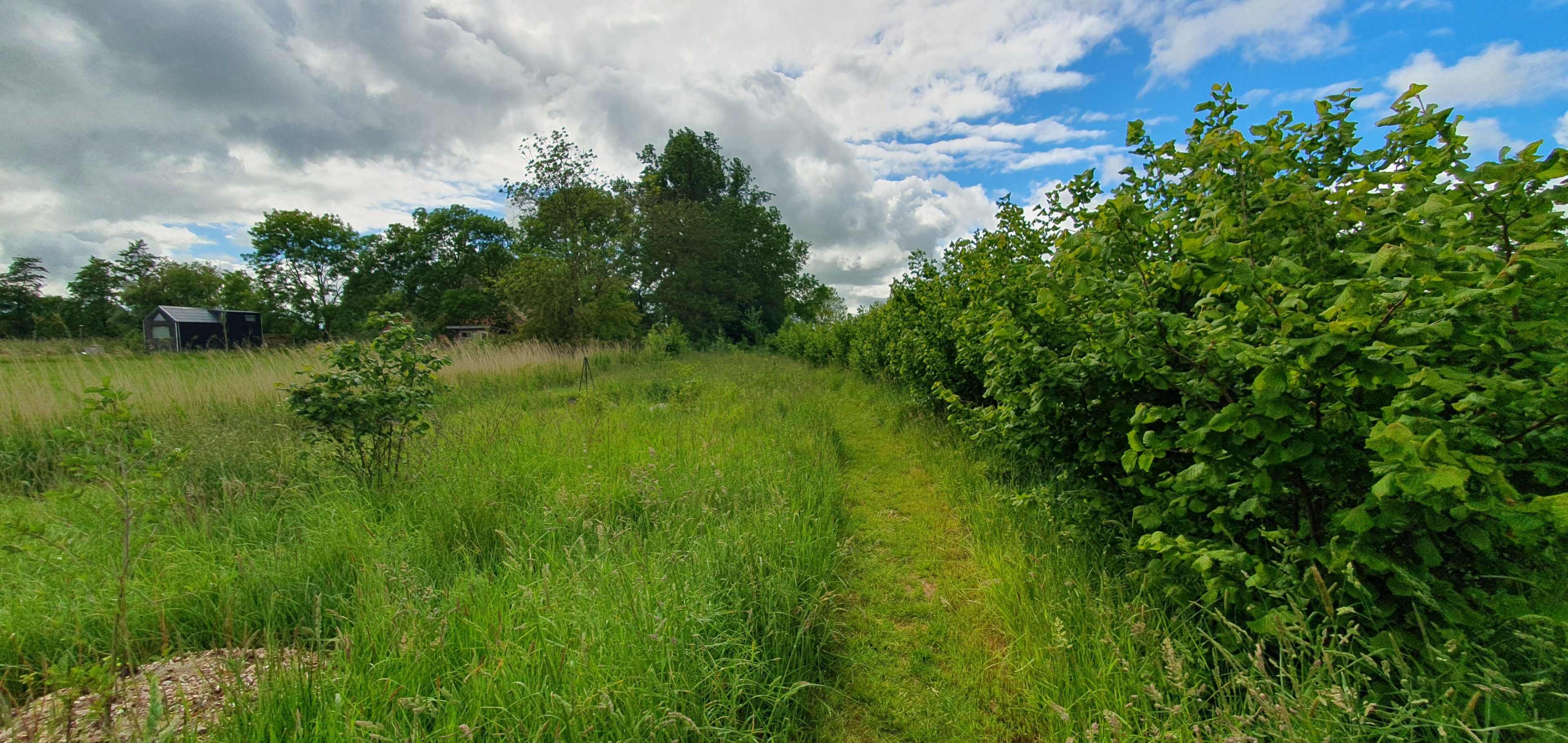 - image: 25