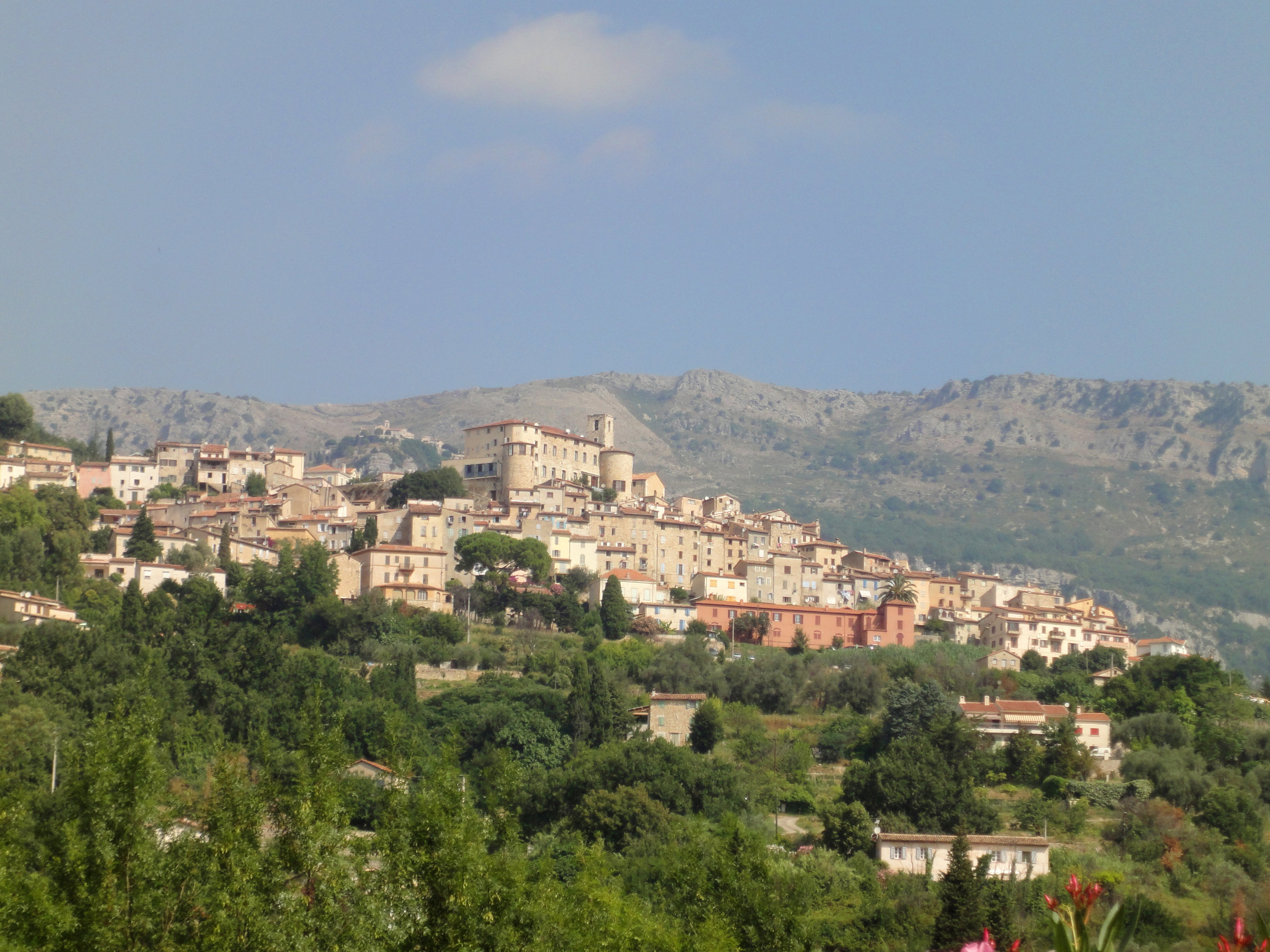 - image: 20