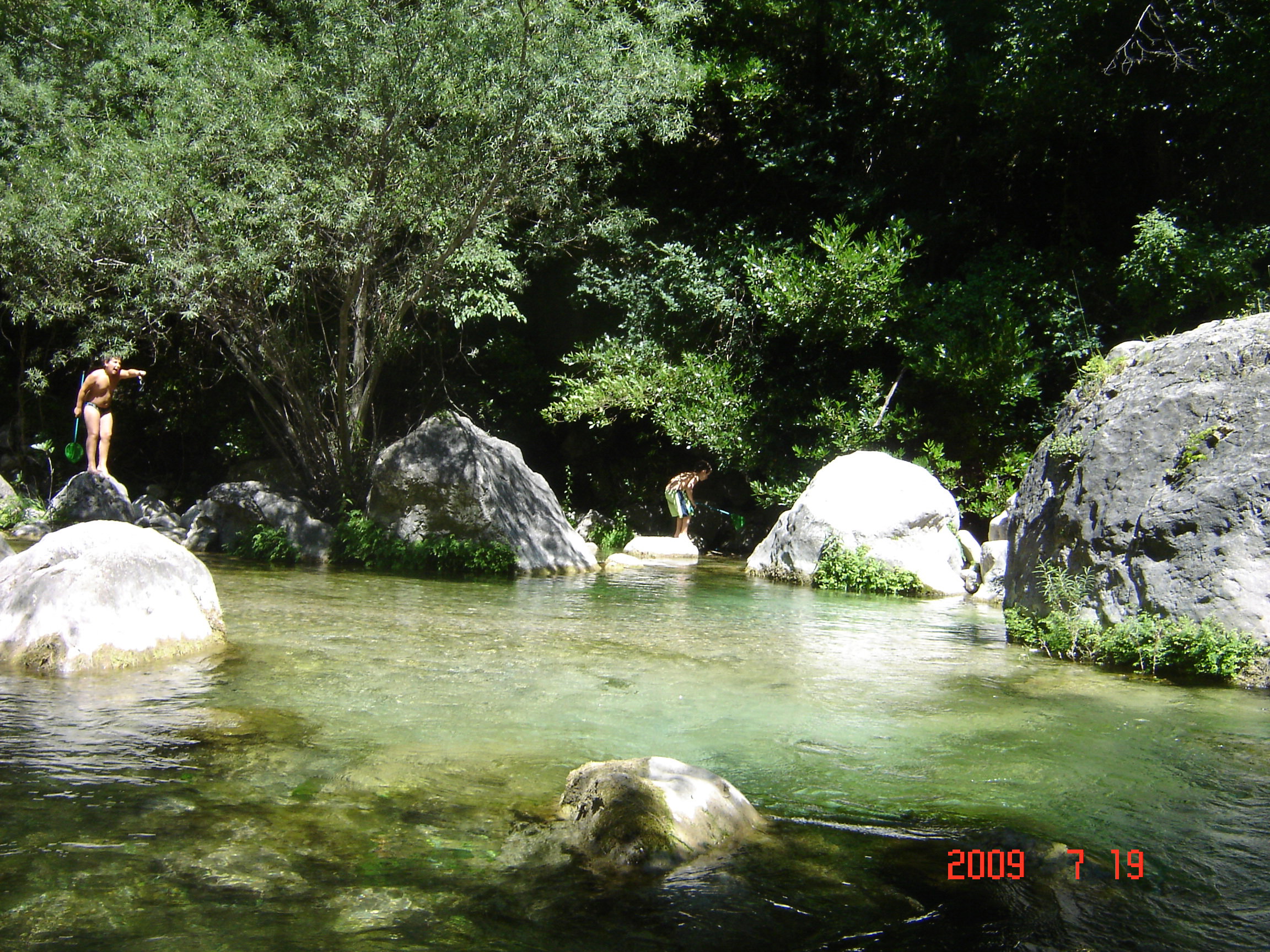 - image: 13