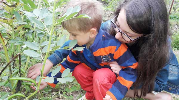 - image: 52