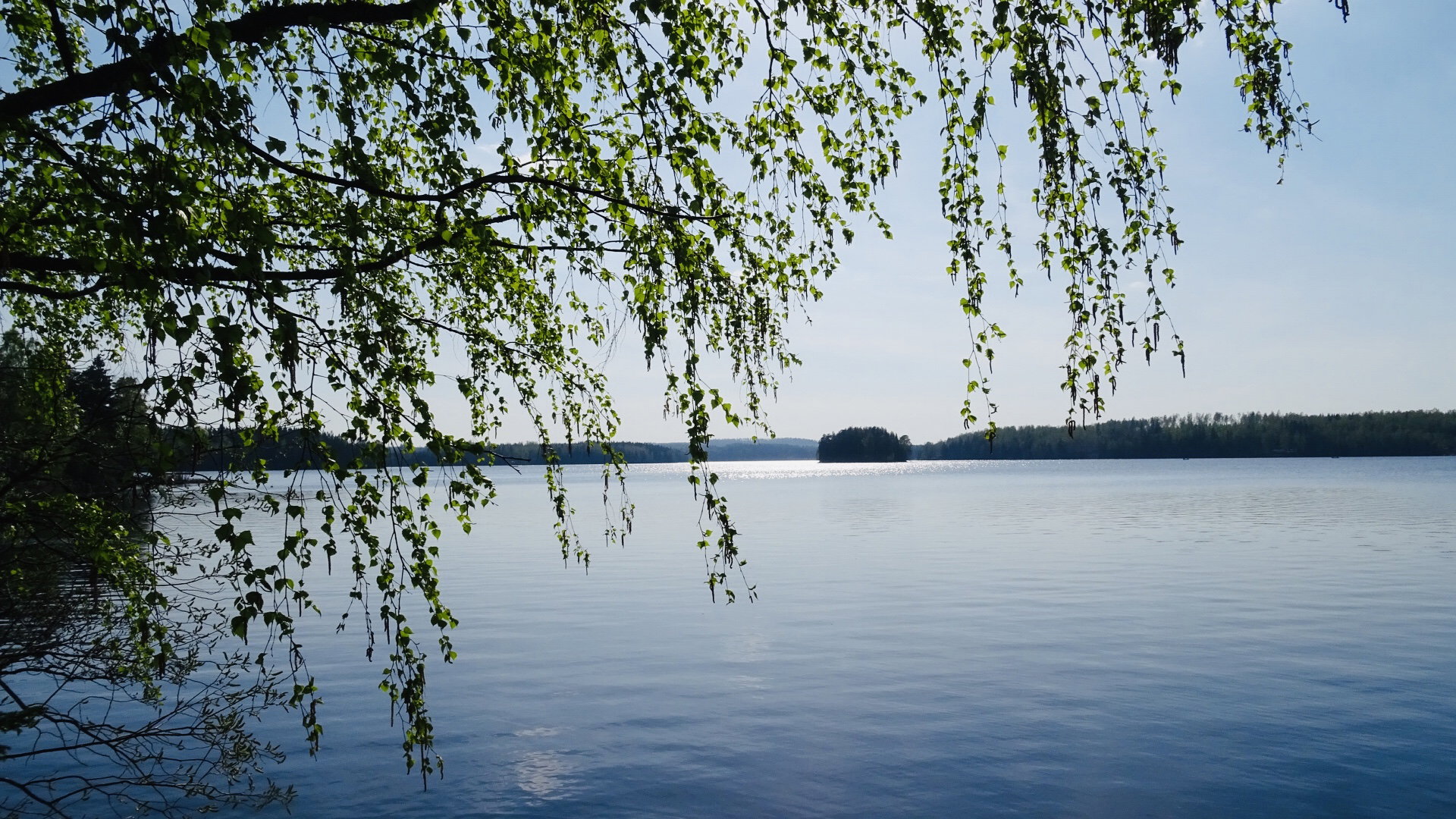 - image: 11