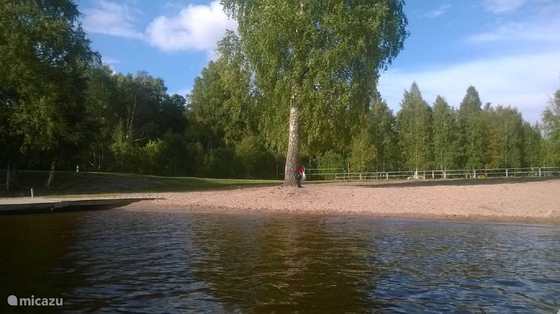- image: 41