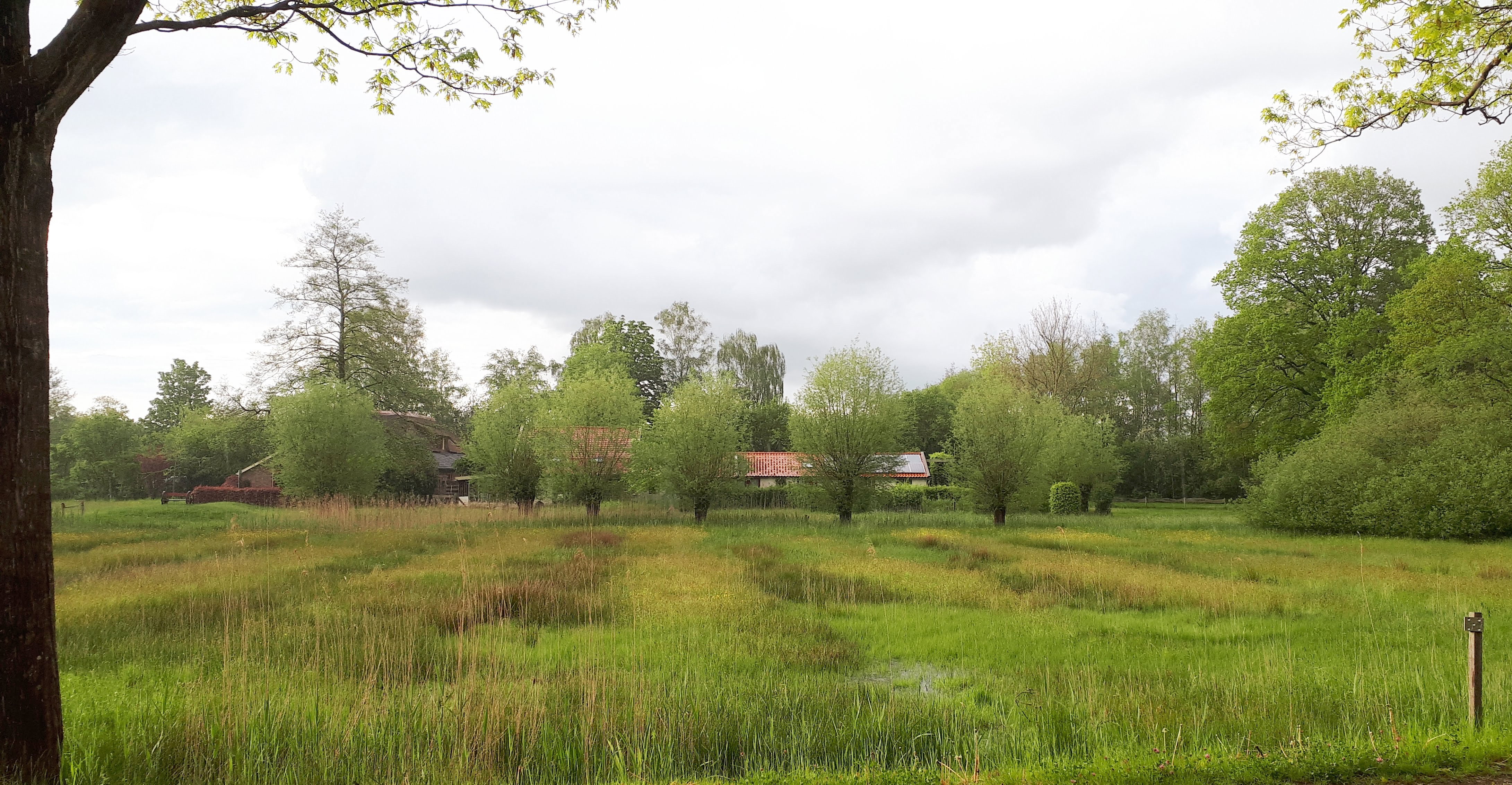 Natuurhuisje in Brummen