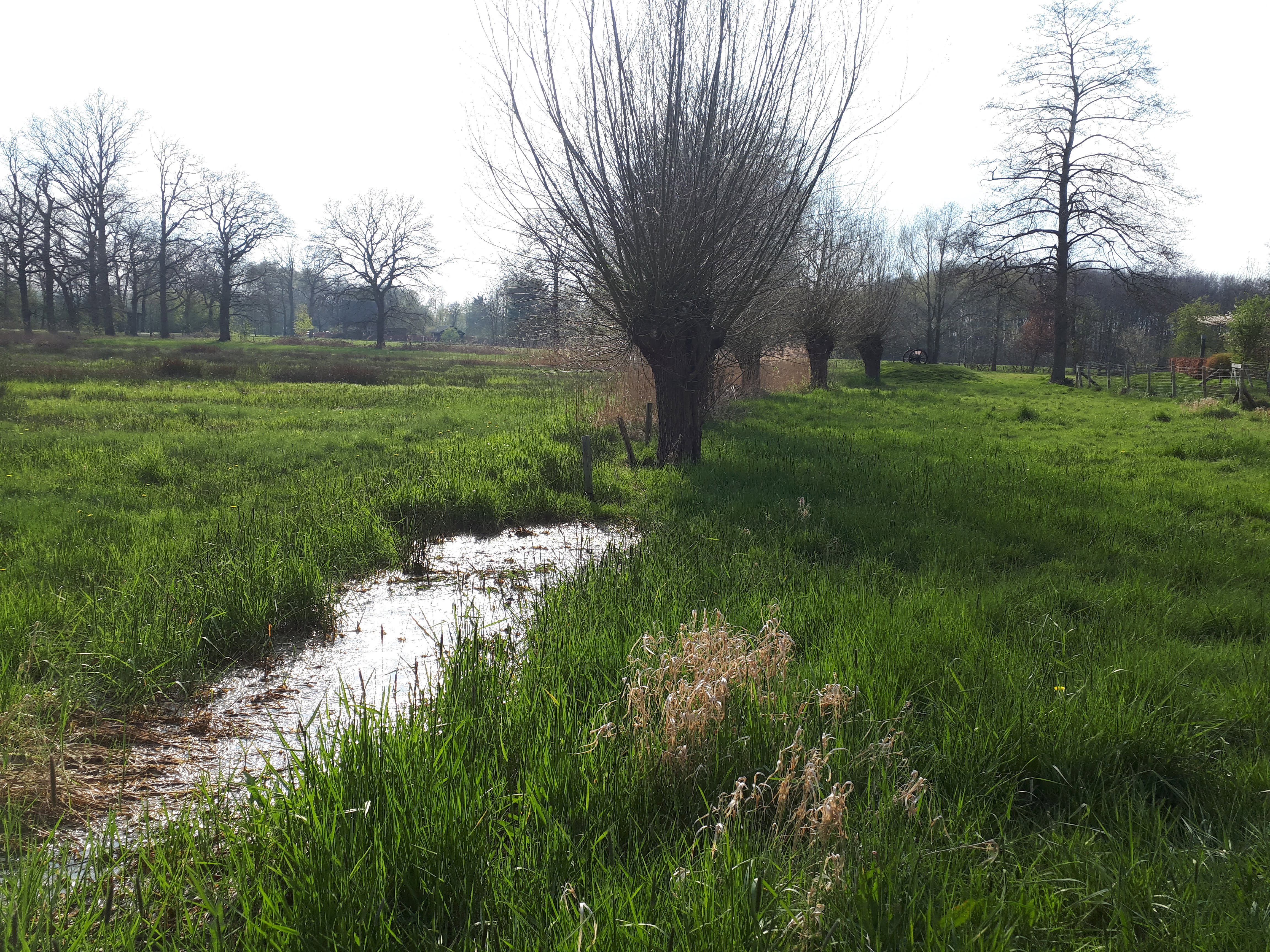 Natuurhuisje in Brummen