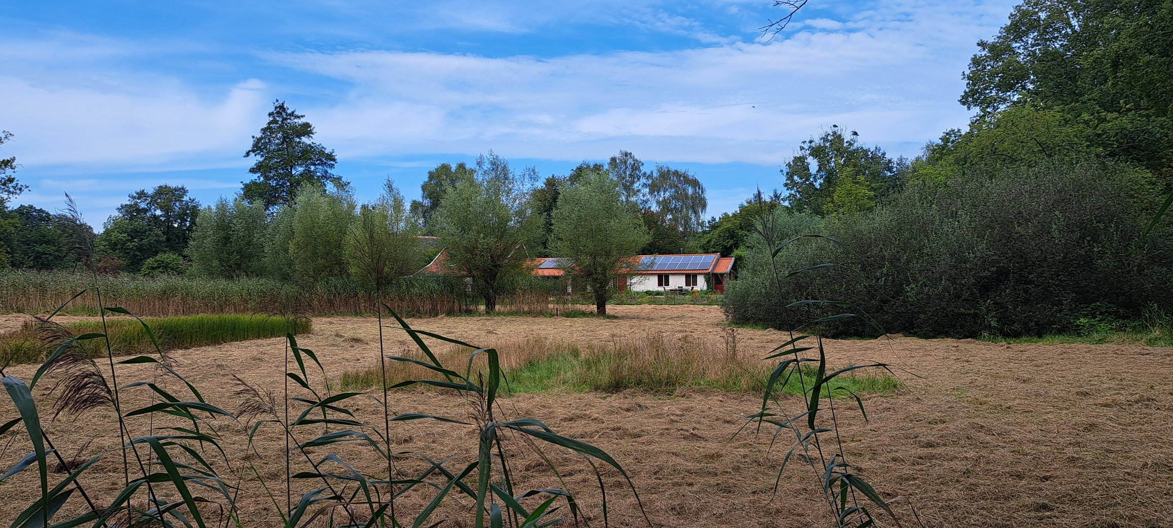 Casa nella natura a Brummen