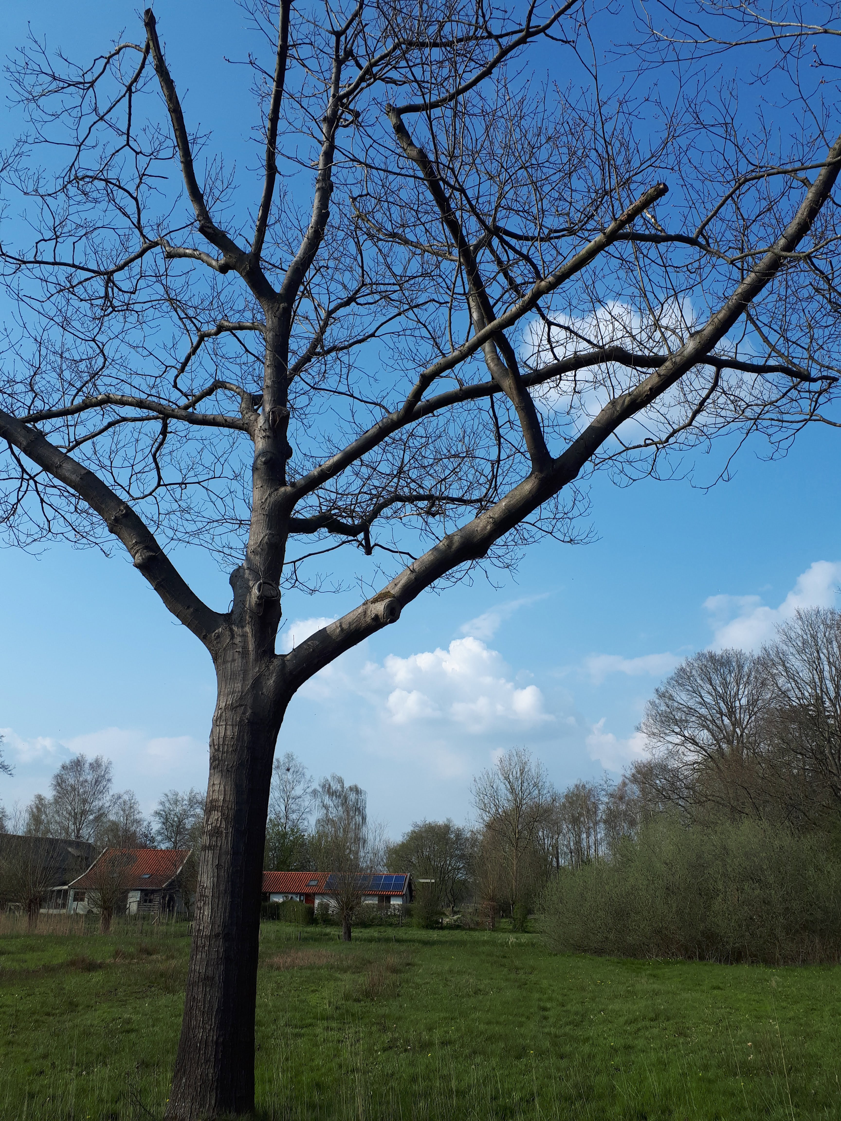 - image: 26