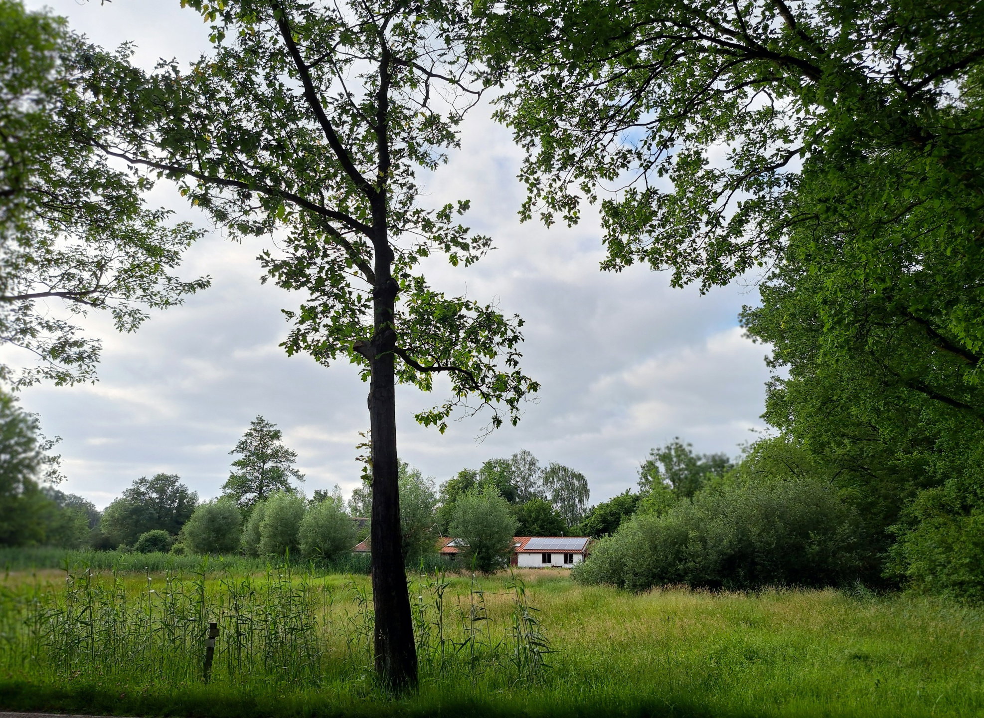 - image: 25