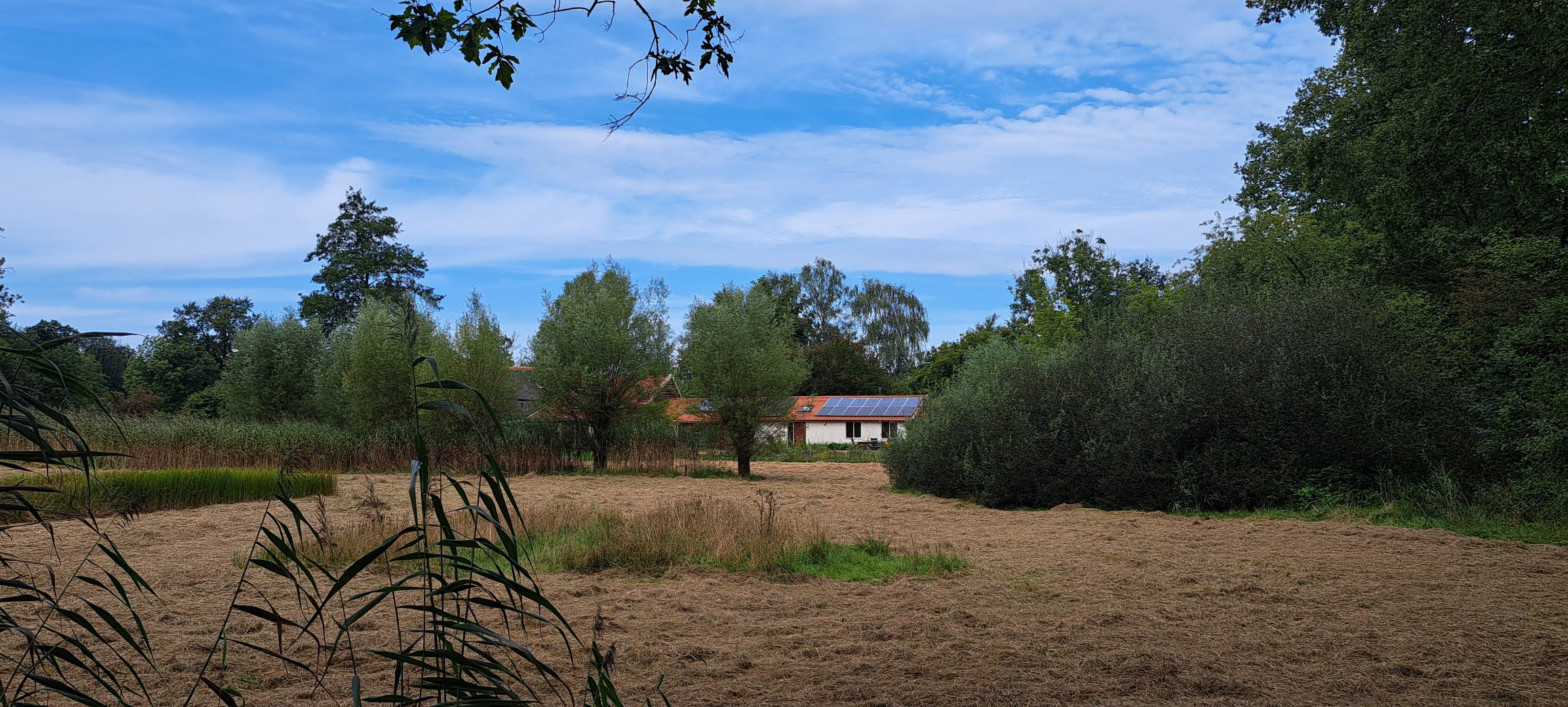 - image: 24