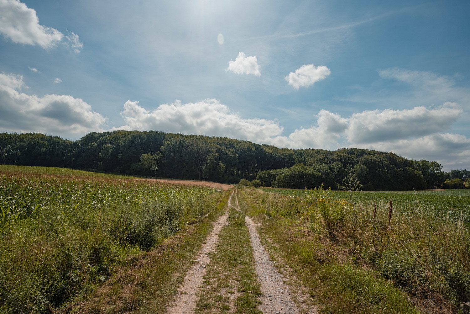 Naturhäuschen in Oudenaarde