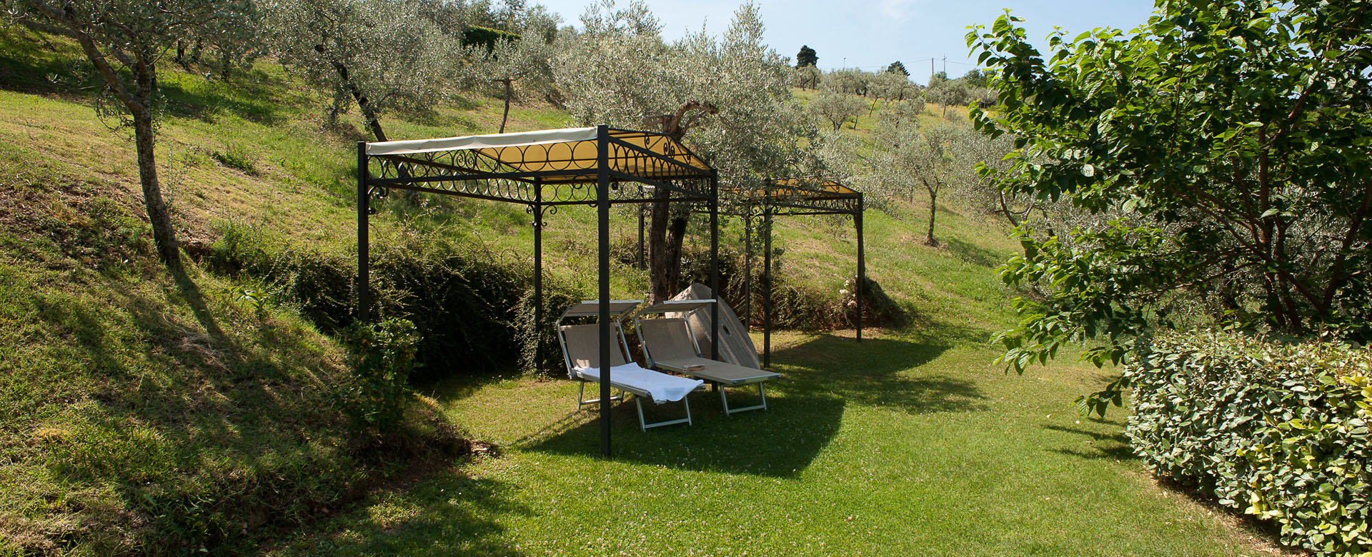 - image: 11