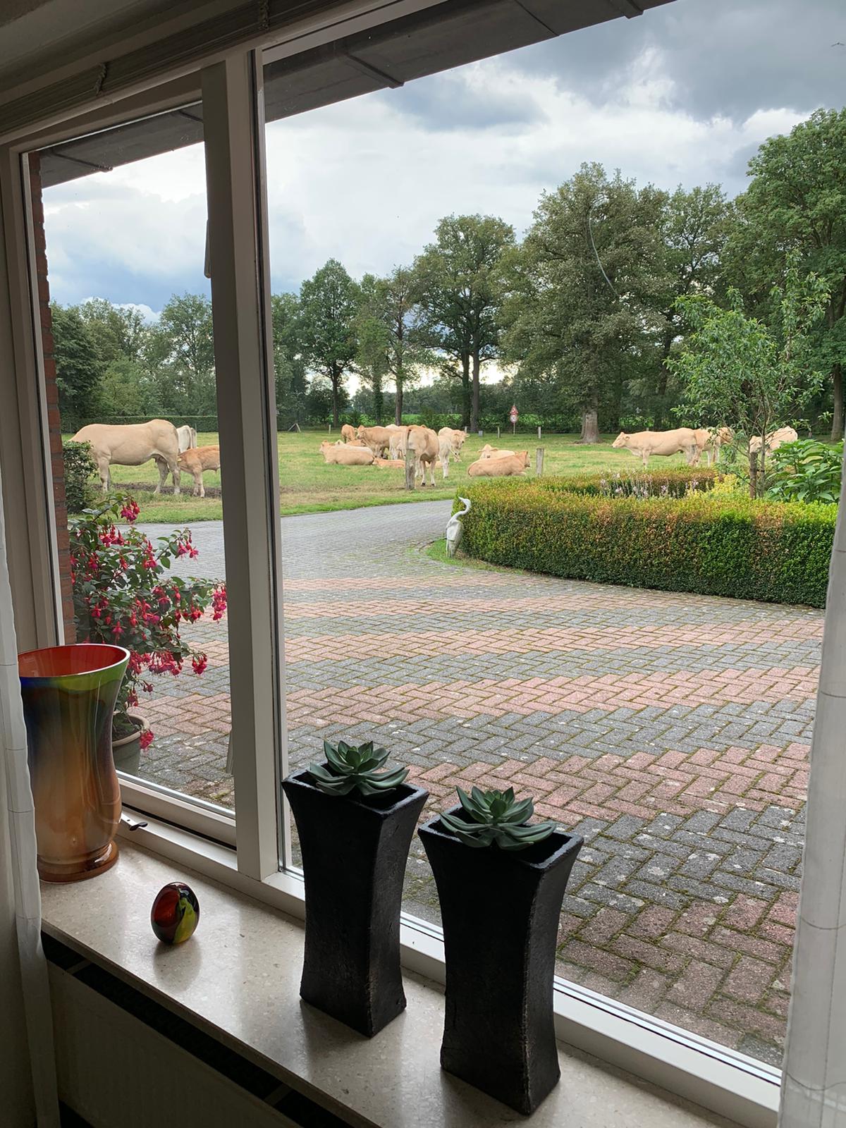 Naturhäuschen in Rossum