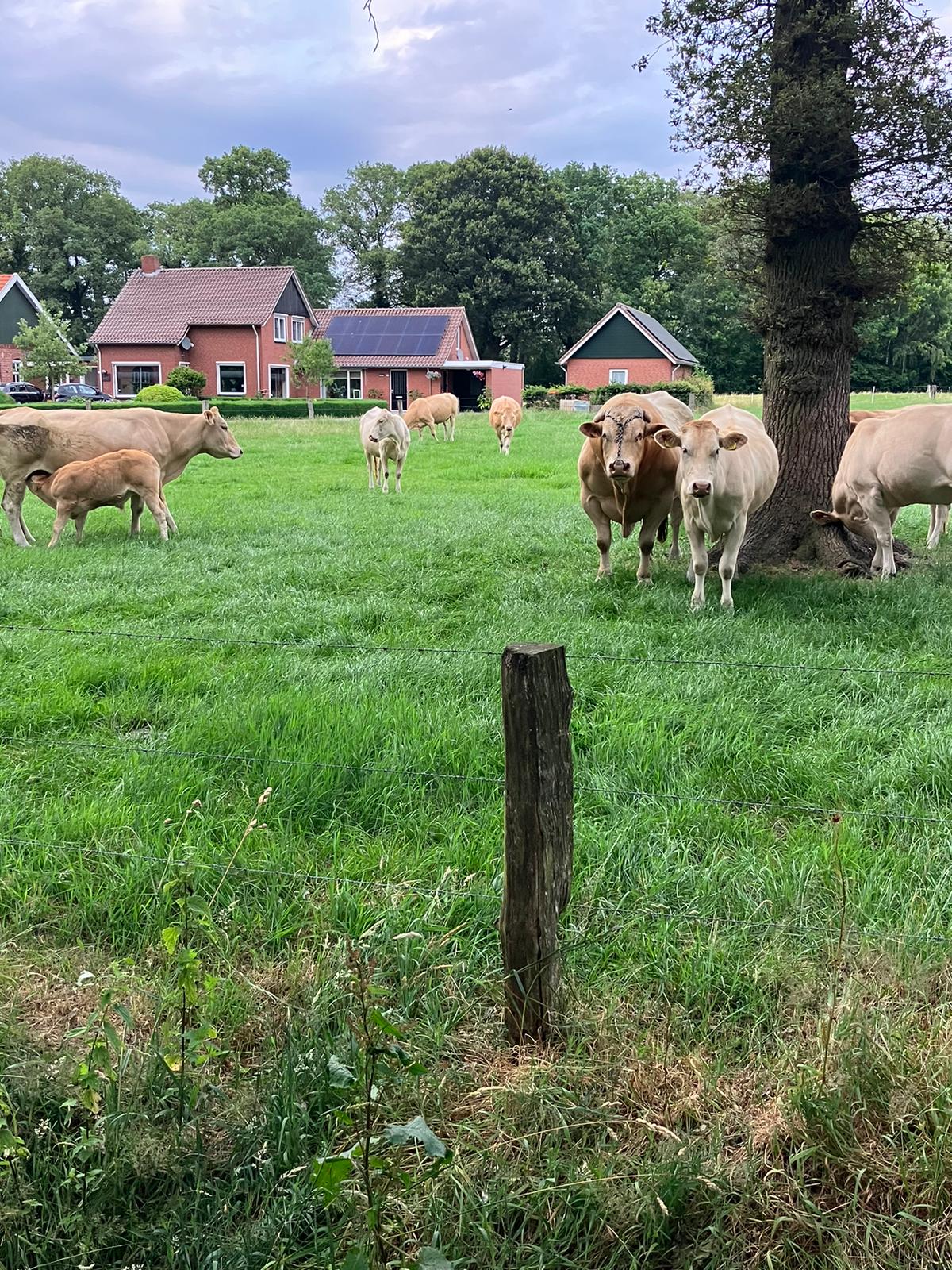 Naturhäuschen in Rossum