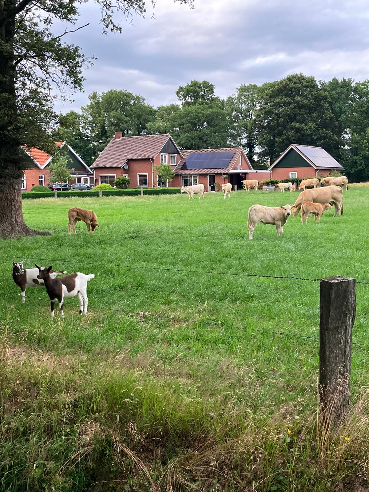Naturhäuschen in Rossum