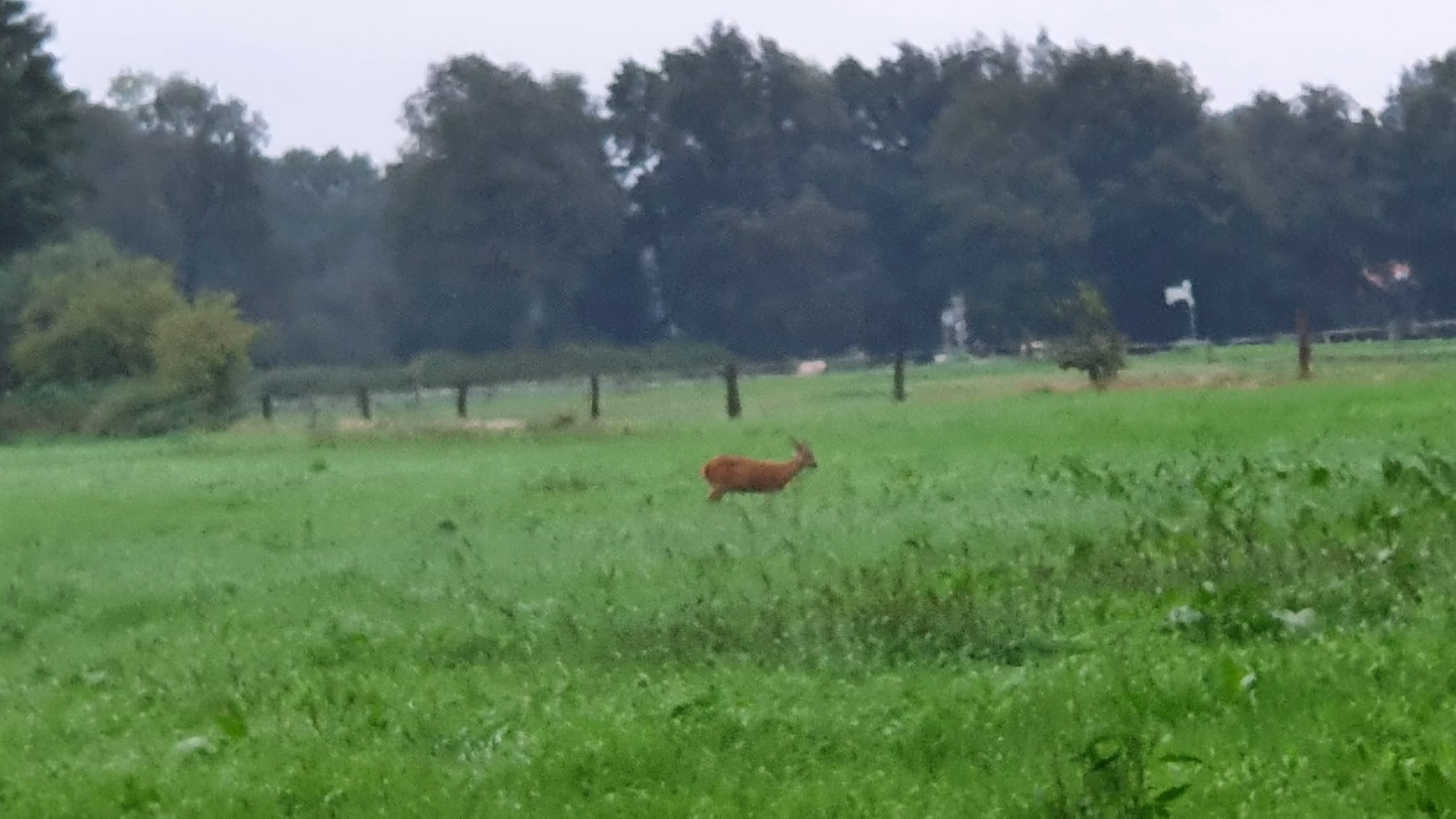 Naturhäuschen in Nutter