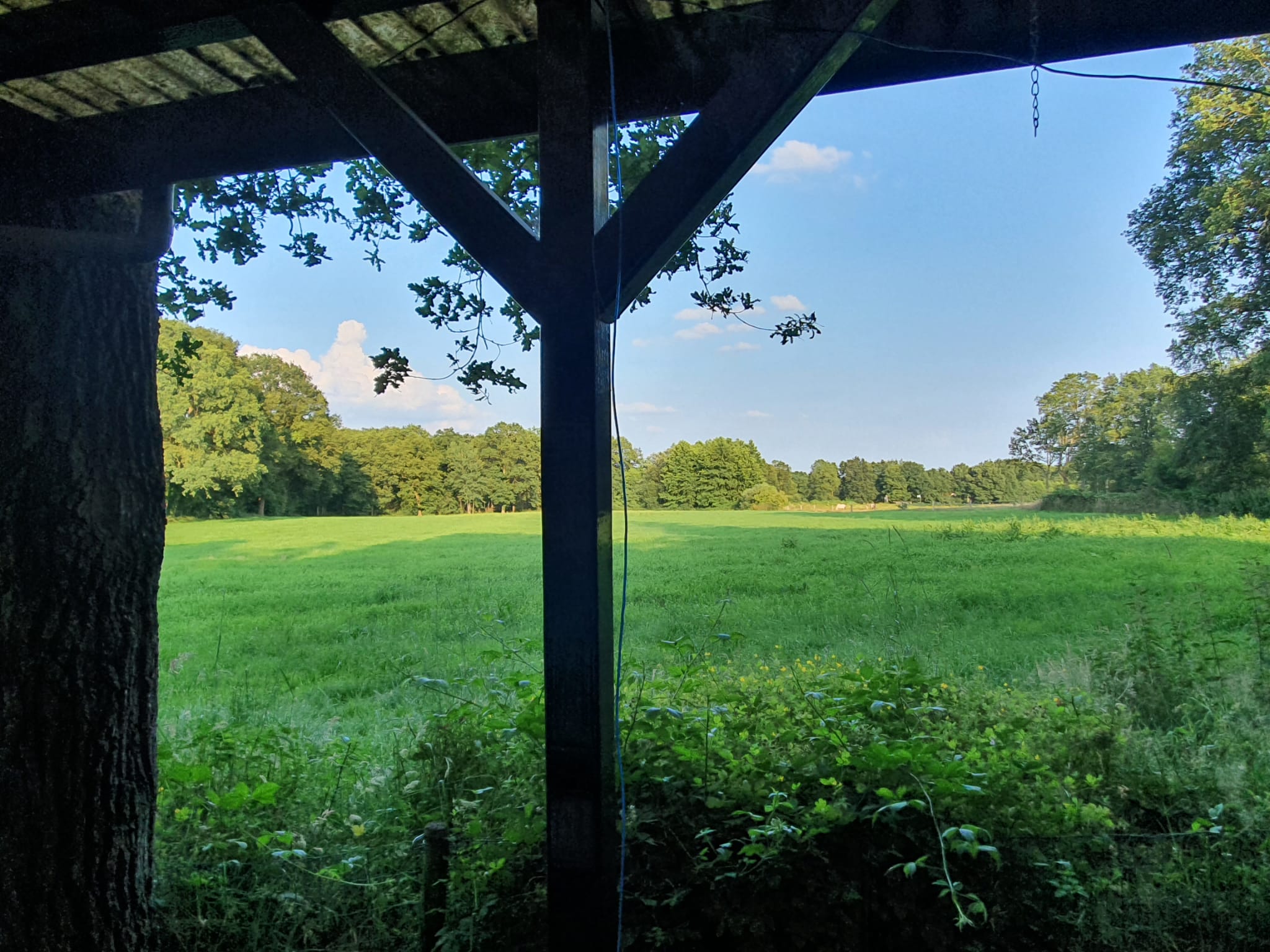 Naturhäuschen in Nutter