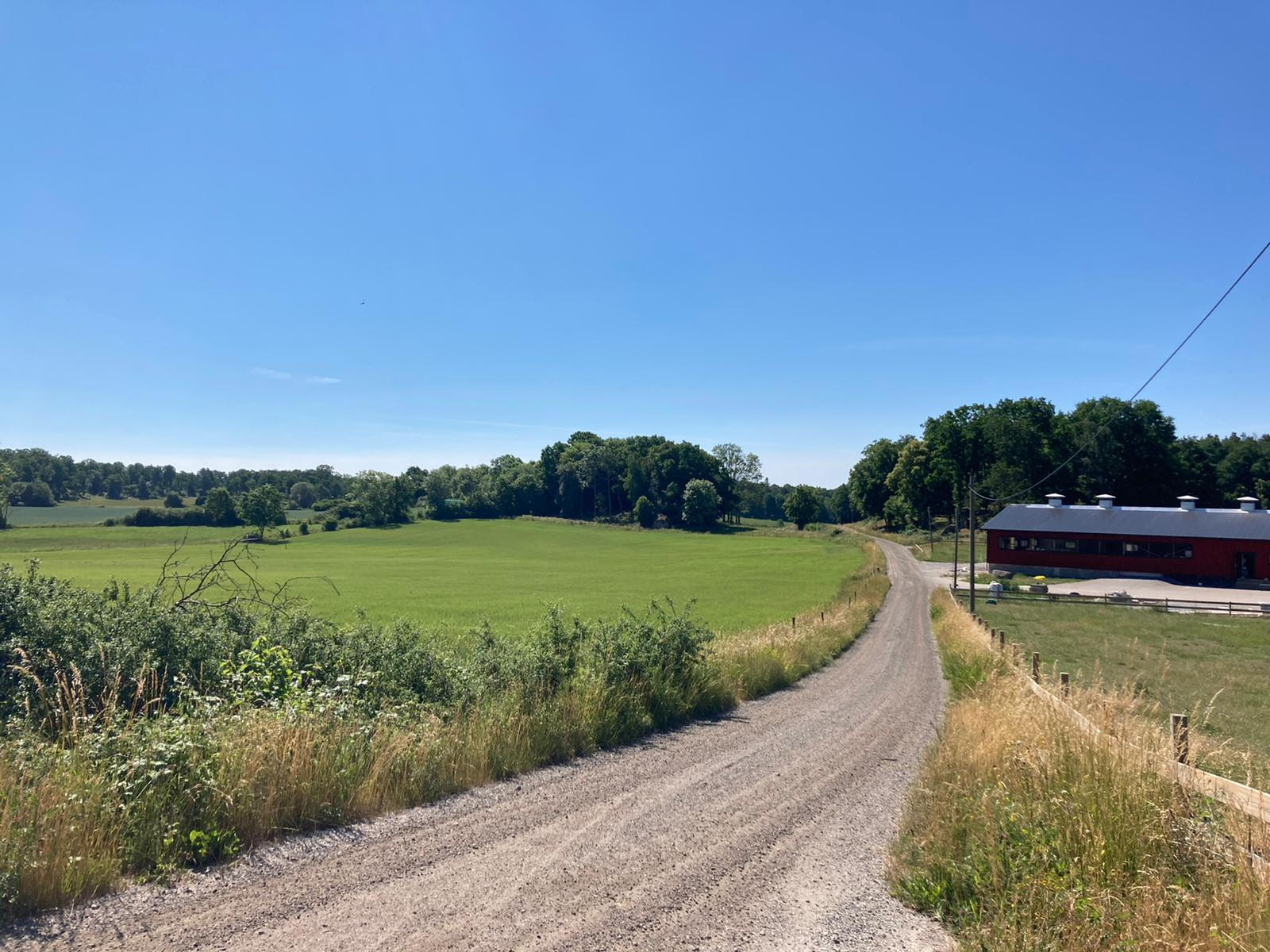 Naturhäuschen in Trensum