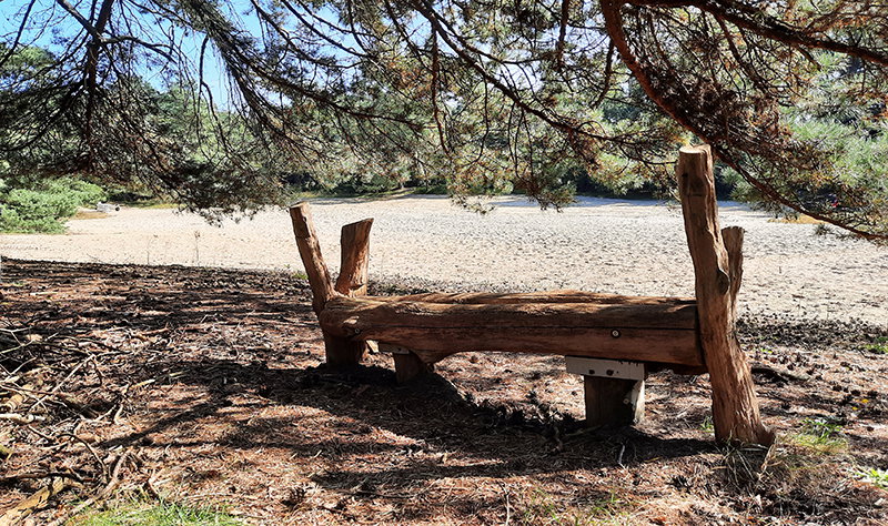 - image: 51