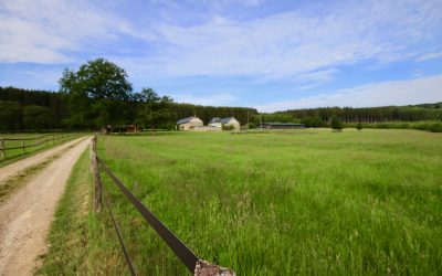 Natuurhuisje in Stavelot