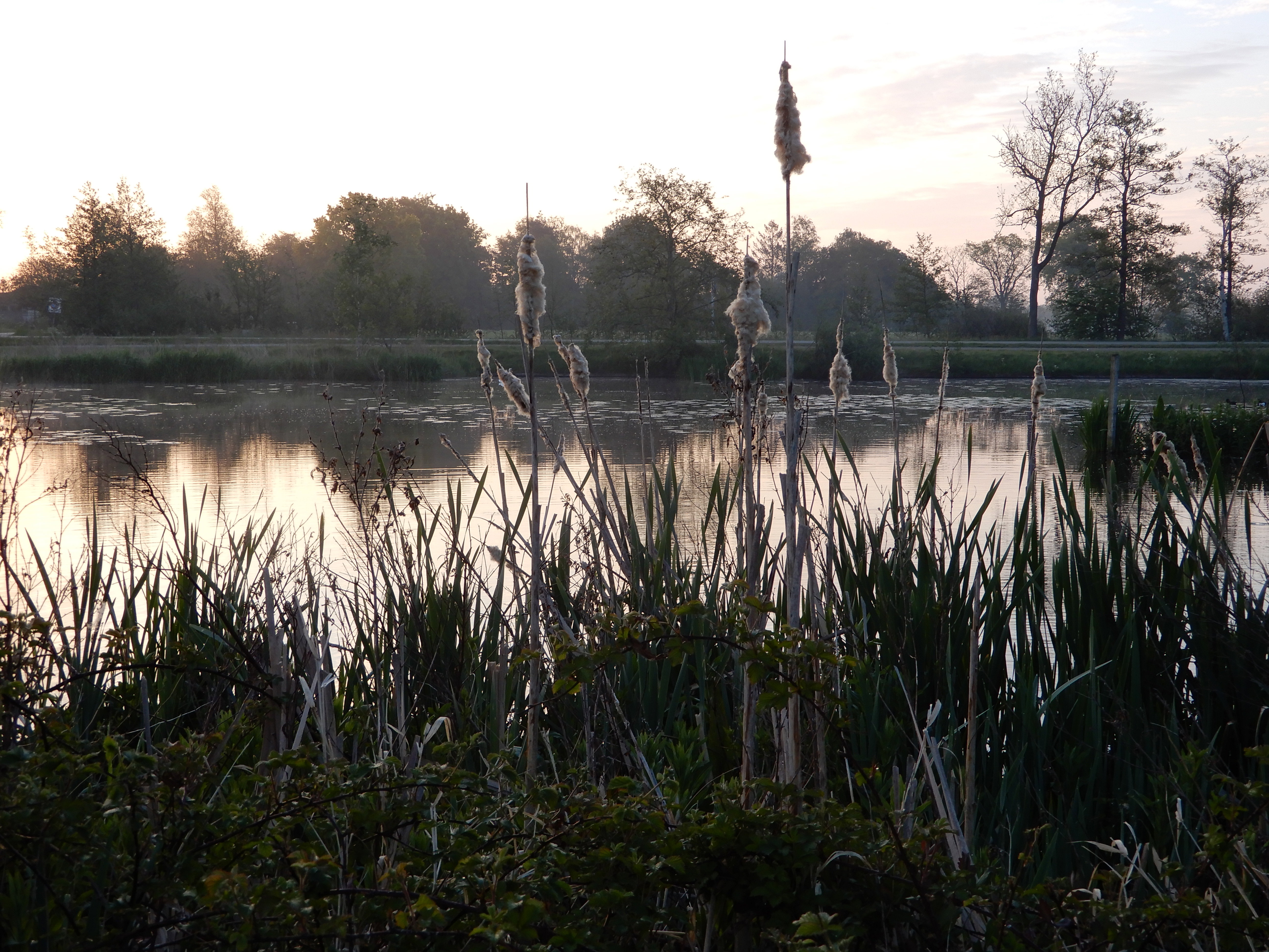 - image: 22