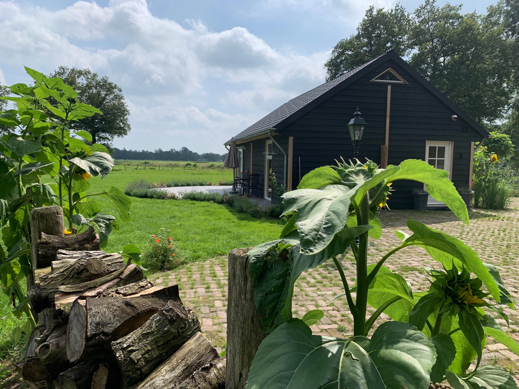 Nature house in Loenen