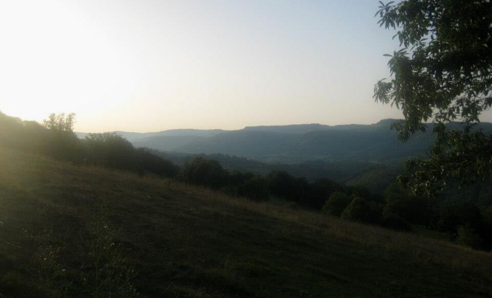 - image: 52