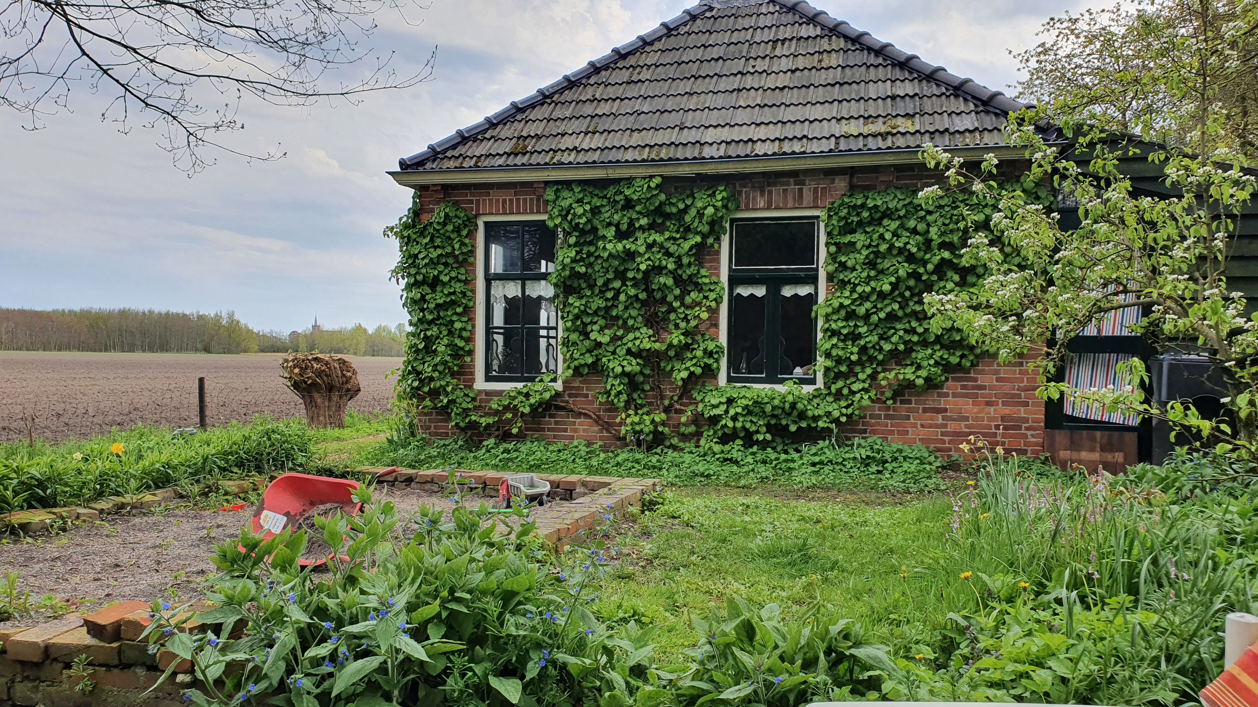 Natuurhuisje in Uithuizen