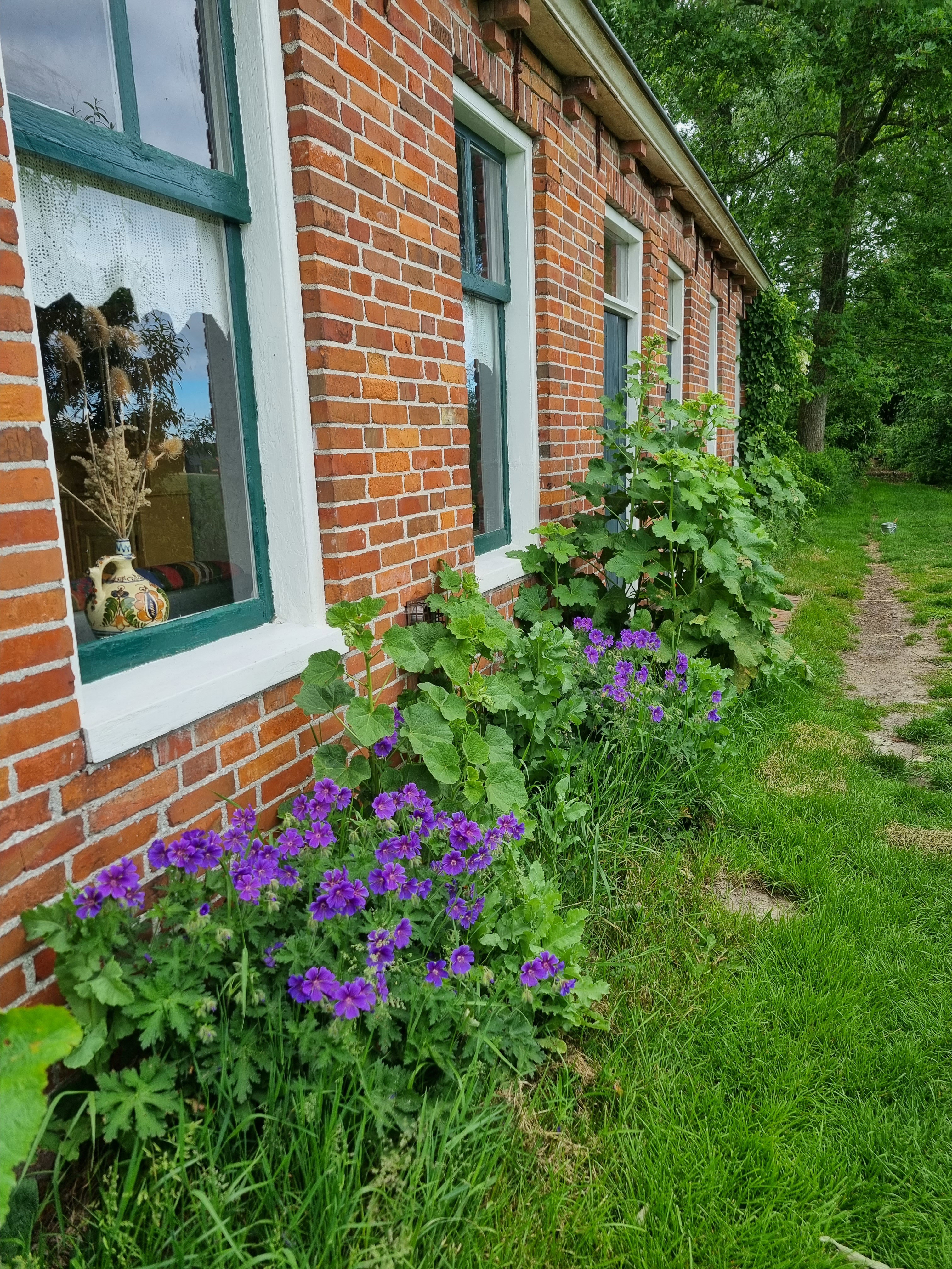- image: 29